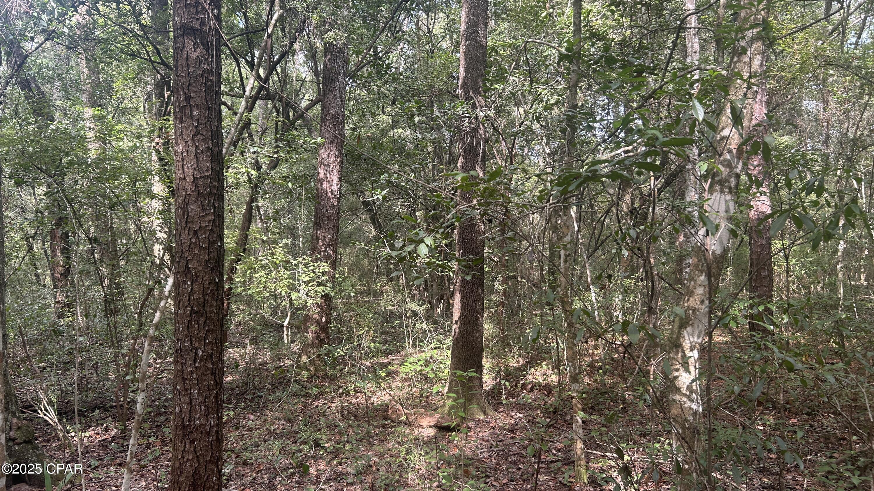 [No Recorded Subdiv] - Land