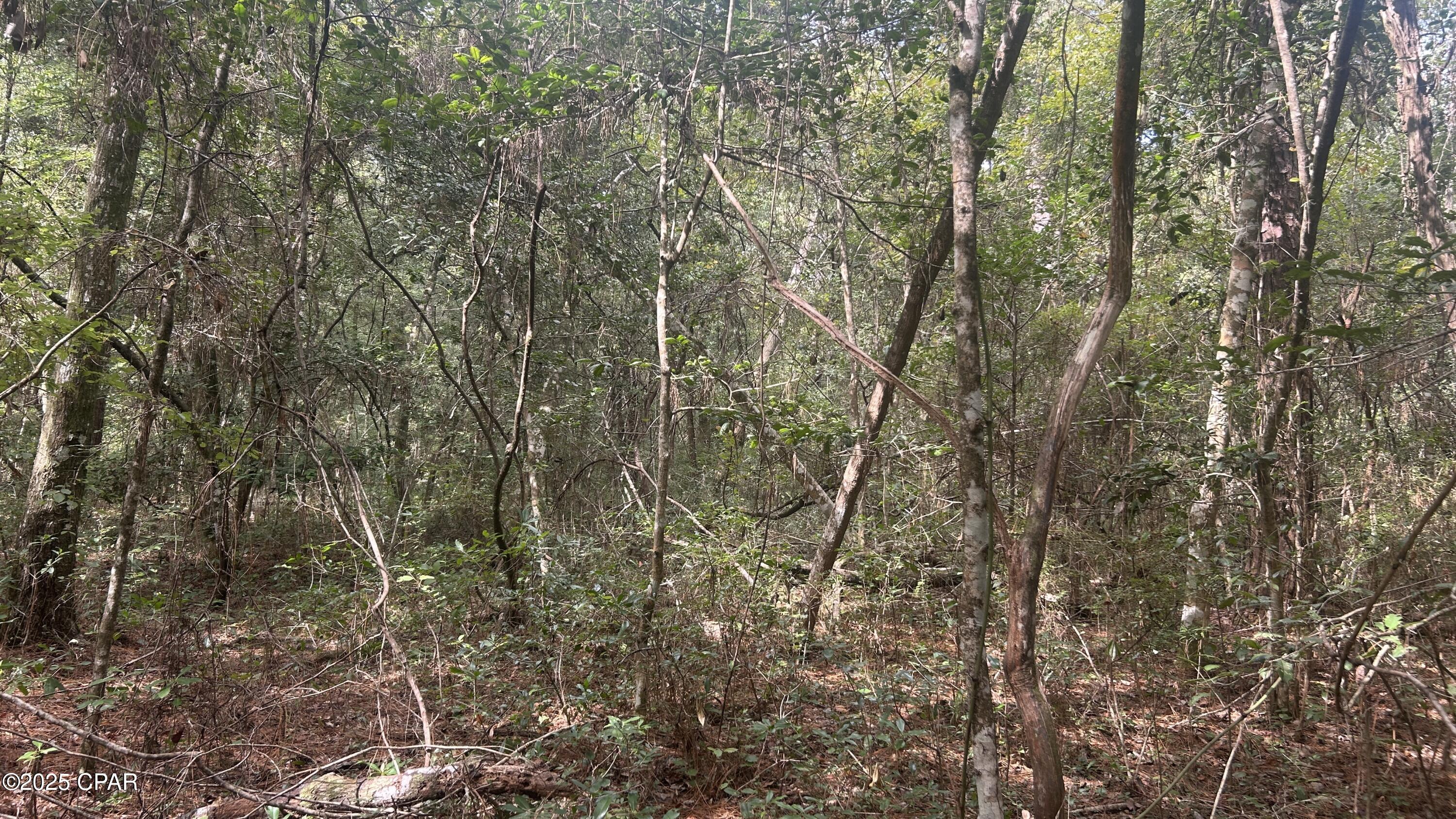 [No Recorded Subdiv] - Land