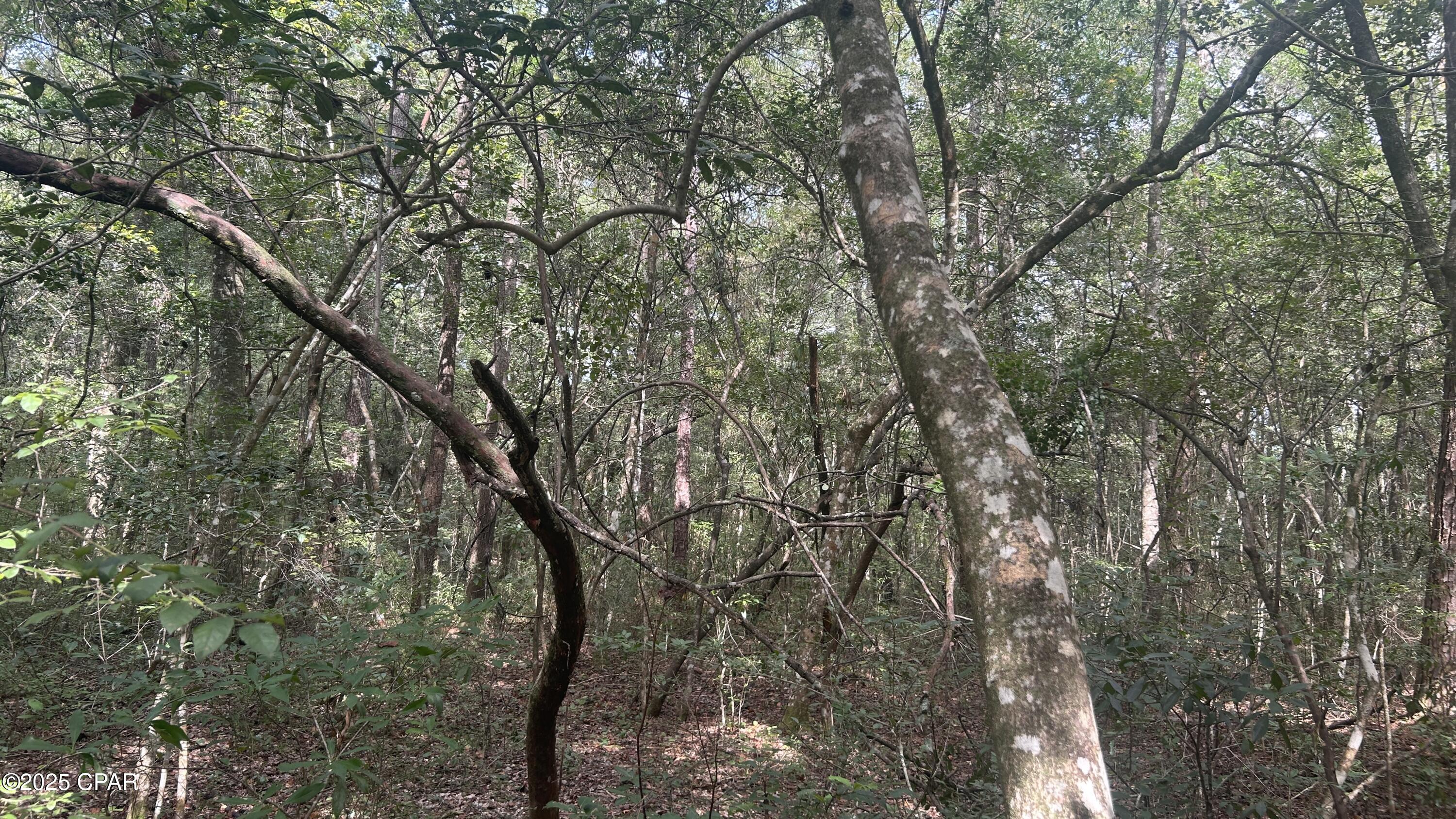 [No Recorded Subdiv] - Land