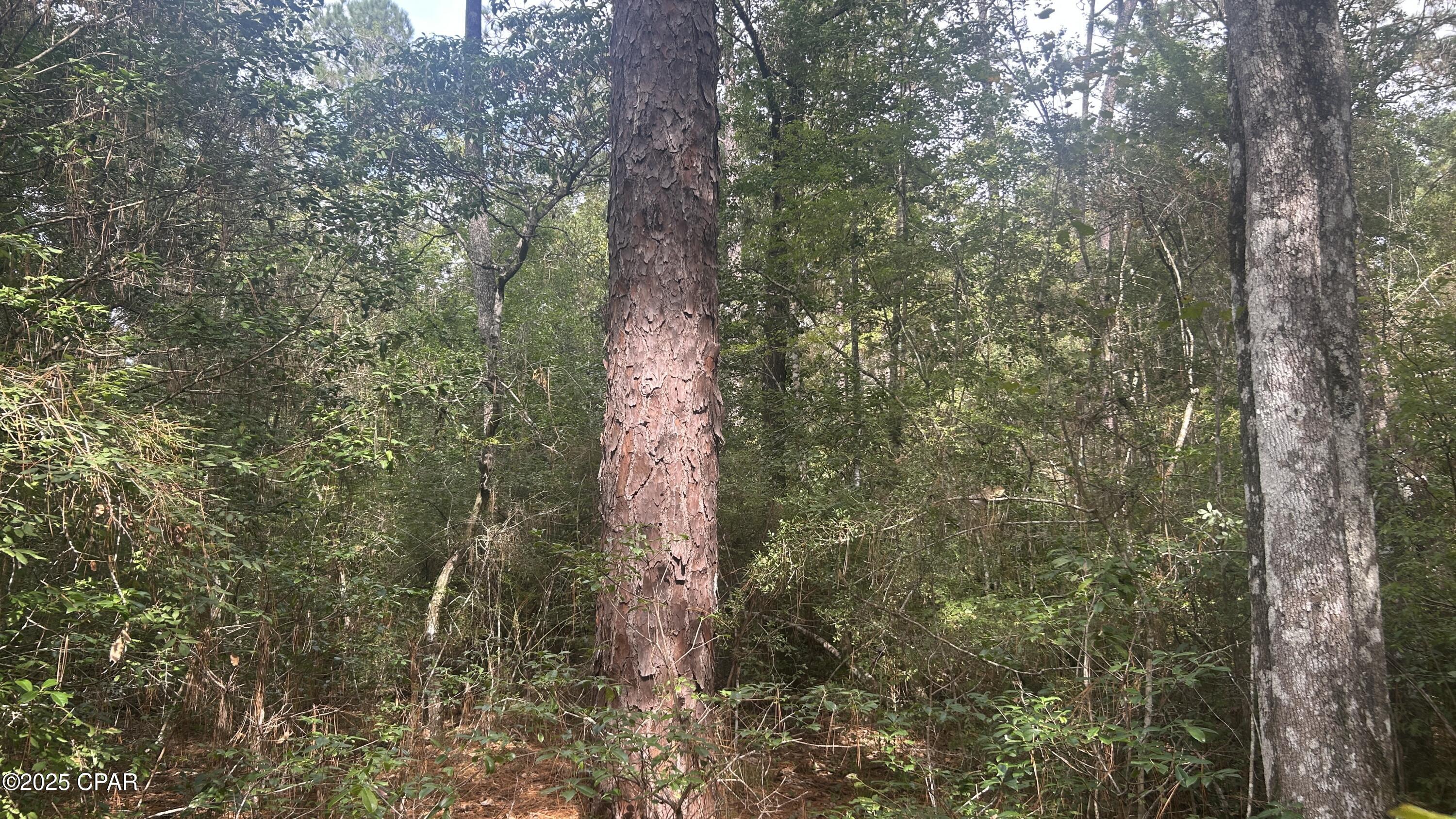 [No Recorded Subdiv] - Land