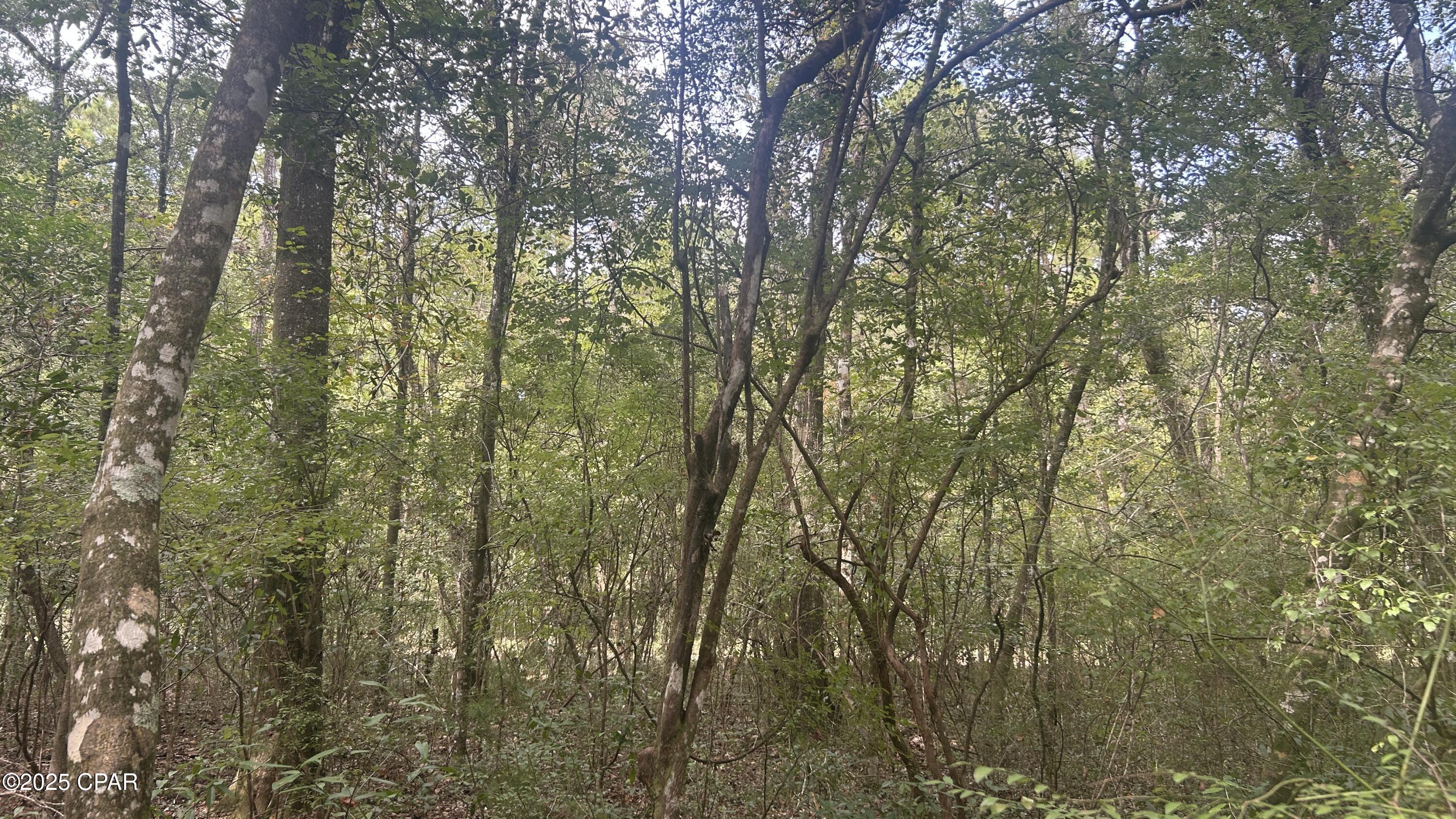 [No Recorded Subdiv] - Land