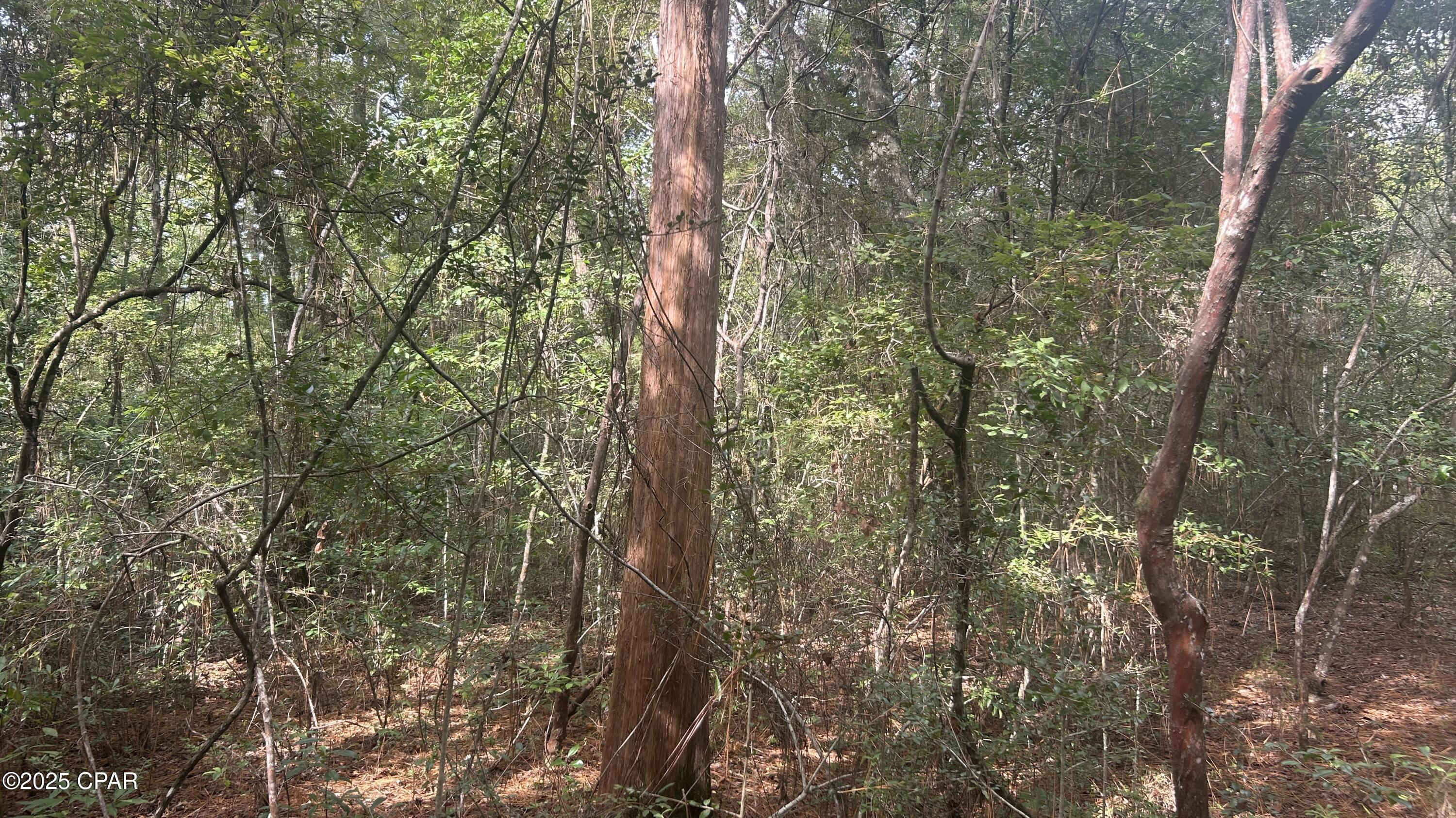 [No Recorded Subdiv] - Land