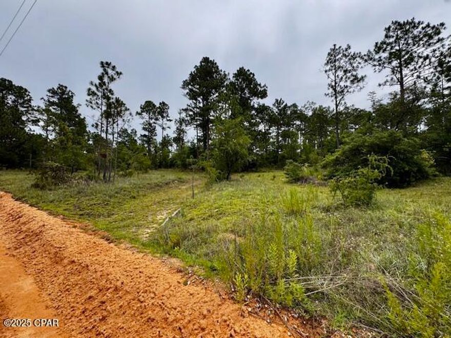 CURRENTLY UNDER CONTRACT - SELLER WILL CONSIDER BACKUP OFFERS!!! Situated just south of the Wausau community, this future homesite offers the perfect blend of peaceful country living and convenient coastal access. Nestled on a gentle hill, the property provides a beautiful elevated setting for your dream home, complete with scenic views and refreshing breezes. Enjoy the quiet of rural life while still being within 45 minutes of the World's Most Beautiful Beaches—giving you the best of both worlds. With easy access to Highway 77 and power nearby, this location offers both privacy and practicality. Whether you're planning a weekend getaway or a forever home, this homesite is a rare opportunity to build in a serene setting with the beach just a short drive away.