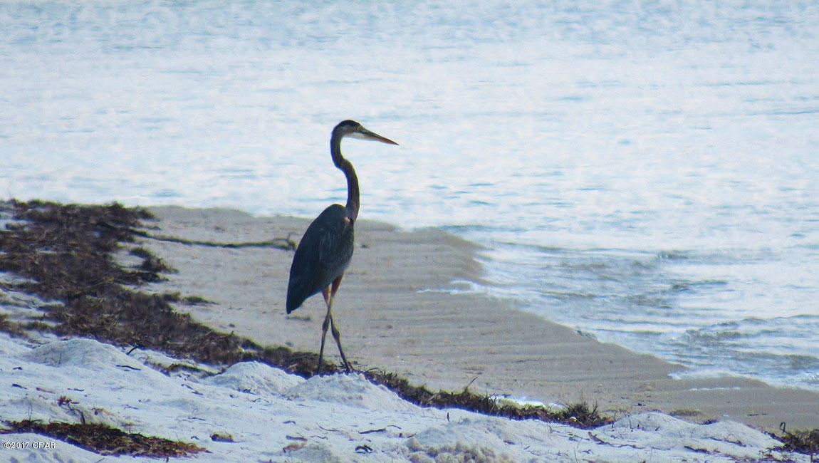 Windmark - Residential