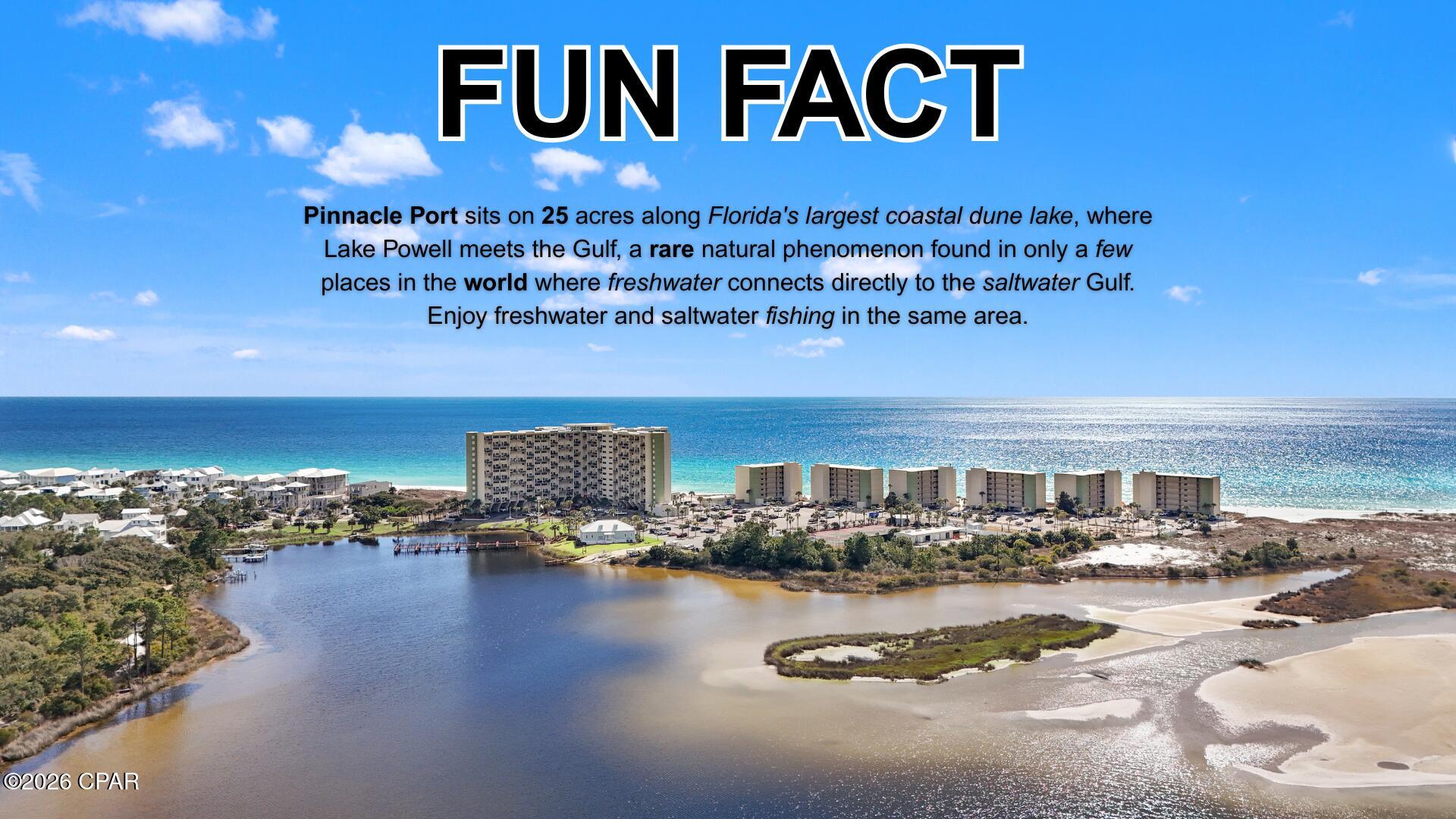 Pinnacle Port Condo - Residential