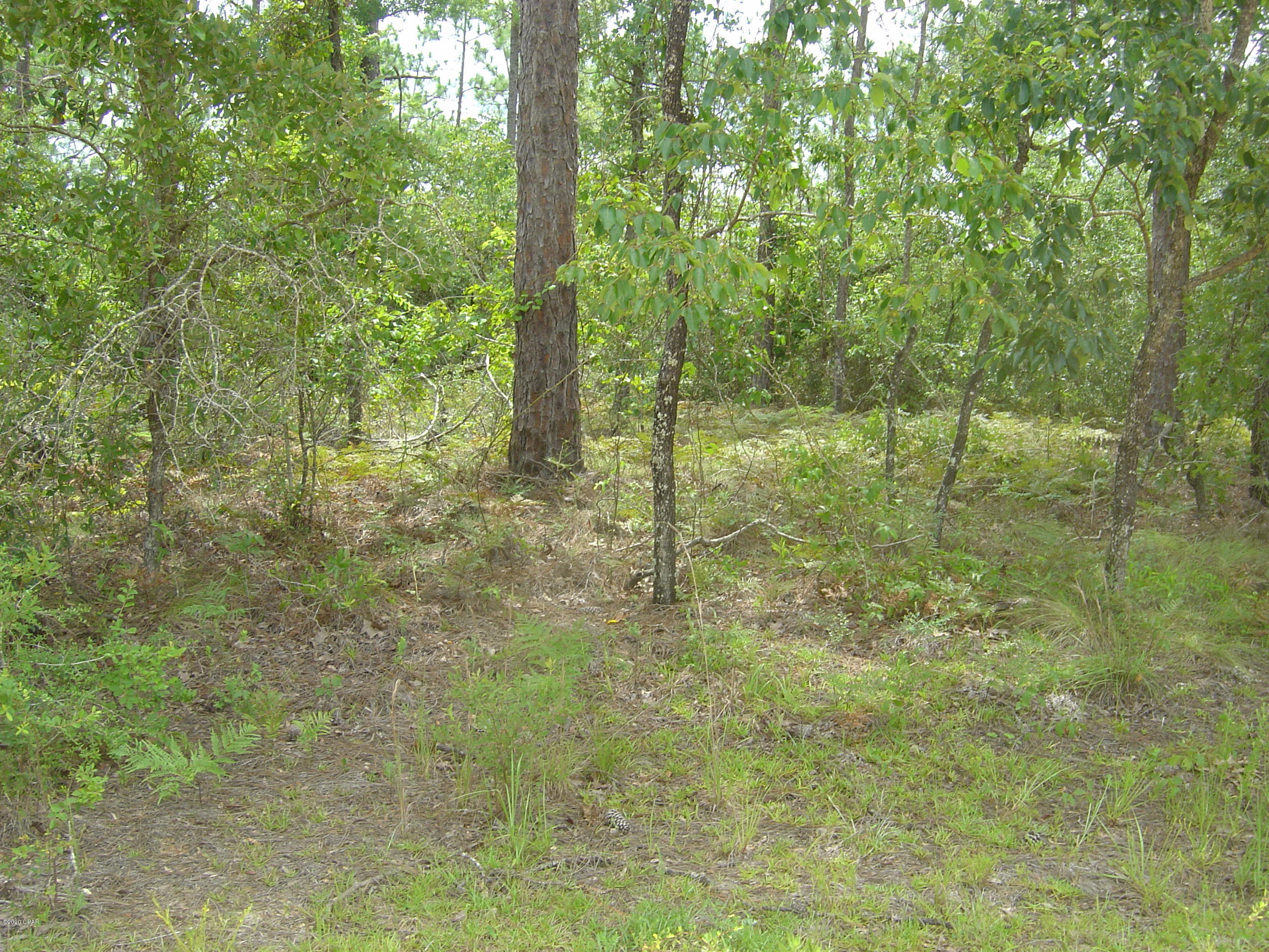 Compass Lake Hills Unit 3 - Land