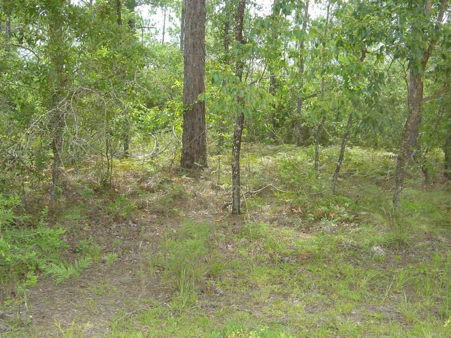 Nice Compass Lake in the Hills lot in a remote area for unique private area.  All the amenities of CLH.