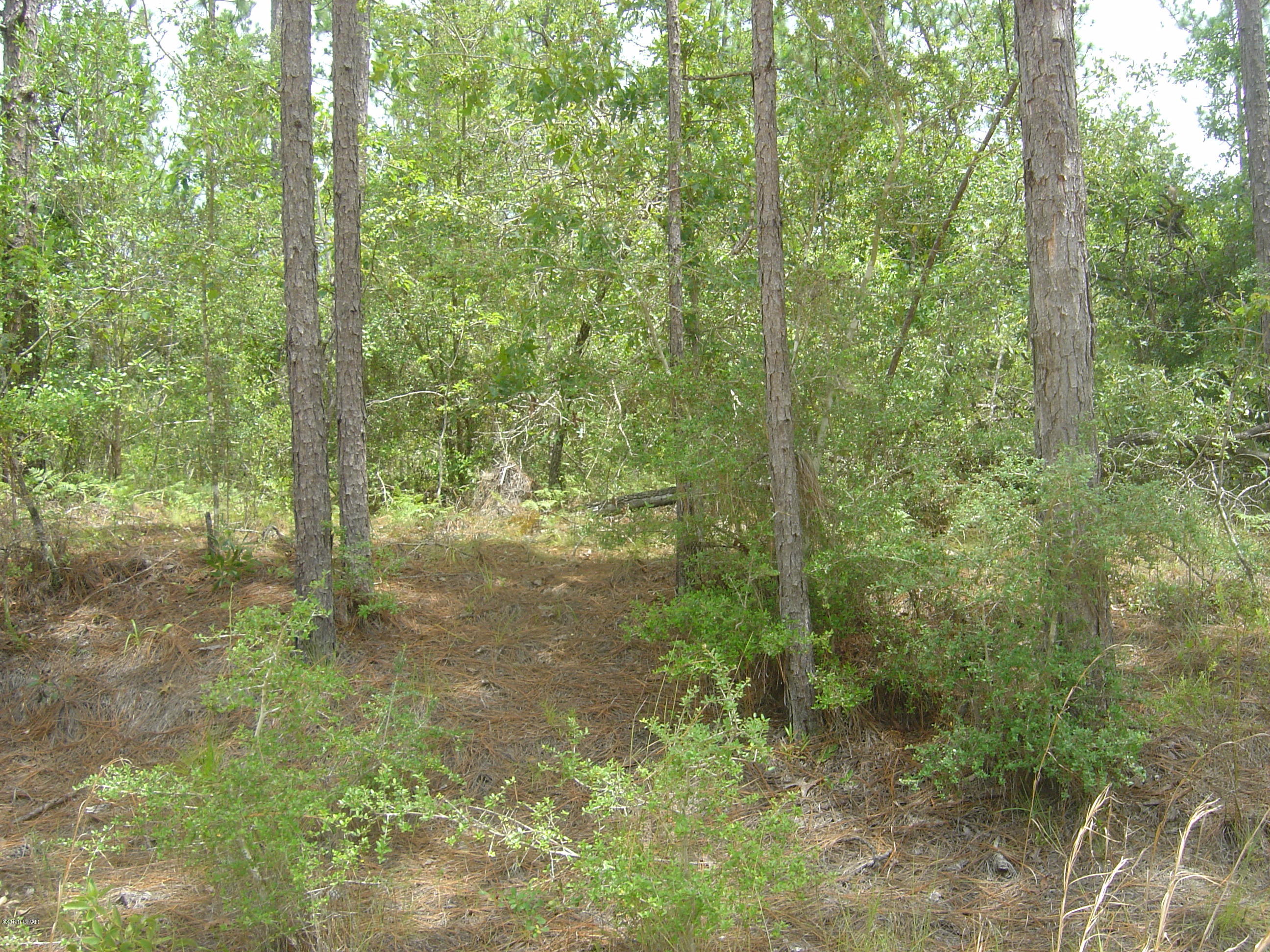 Compass Lake Hills Unit 3 - Land