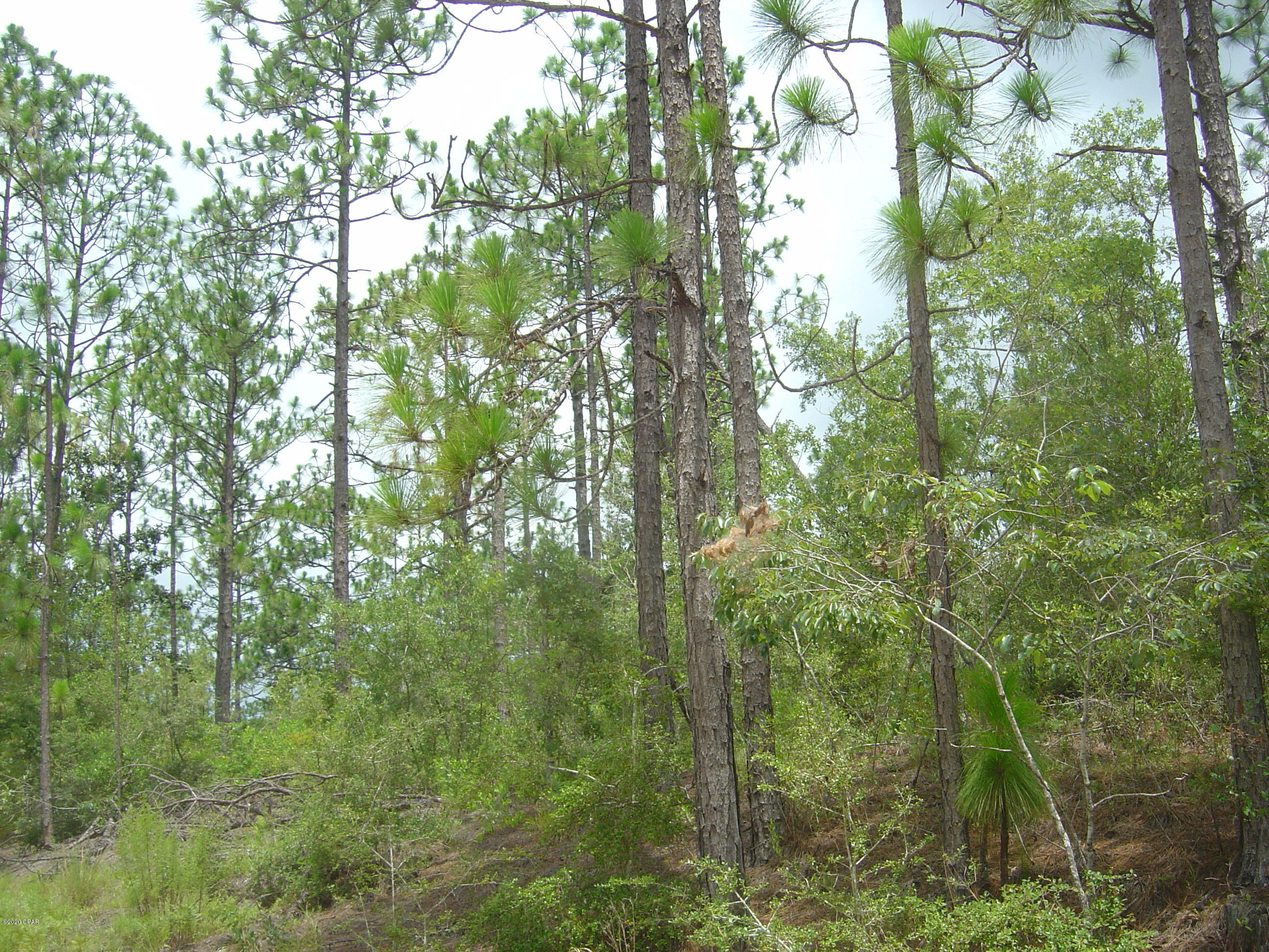 Compass Lake Hills Unit 3 - Land