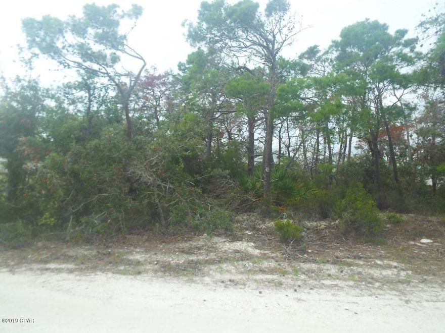 Corner lot on Cape San Blas and Cozumel on the Gulf Side offered as is.  Size is approximate and taken from property appraiser site please verify accordingly.
