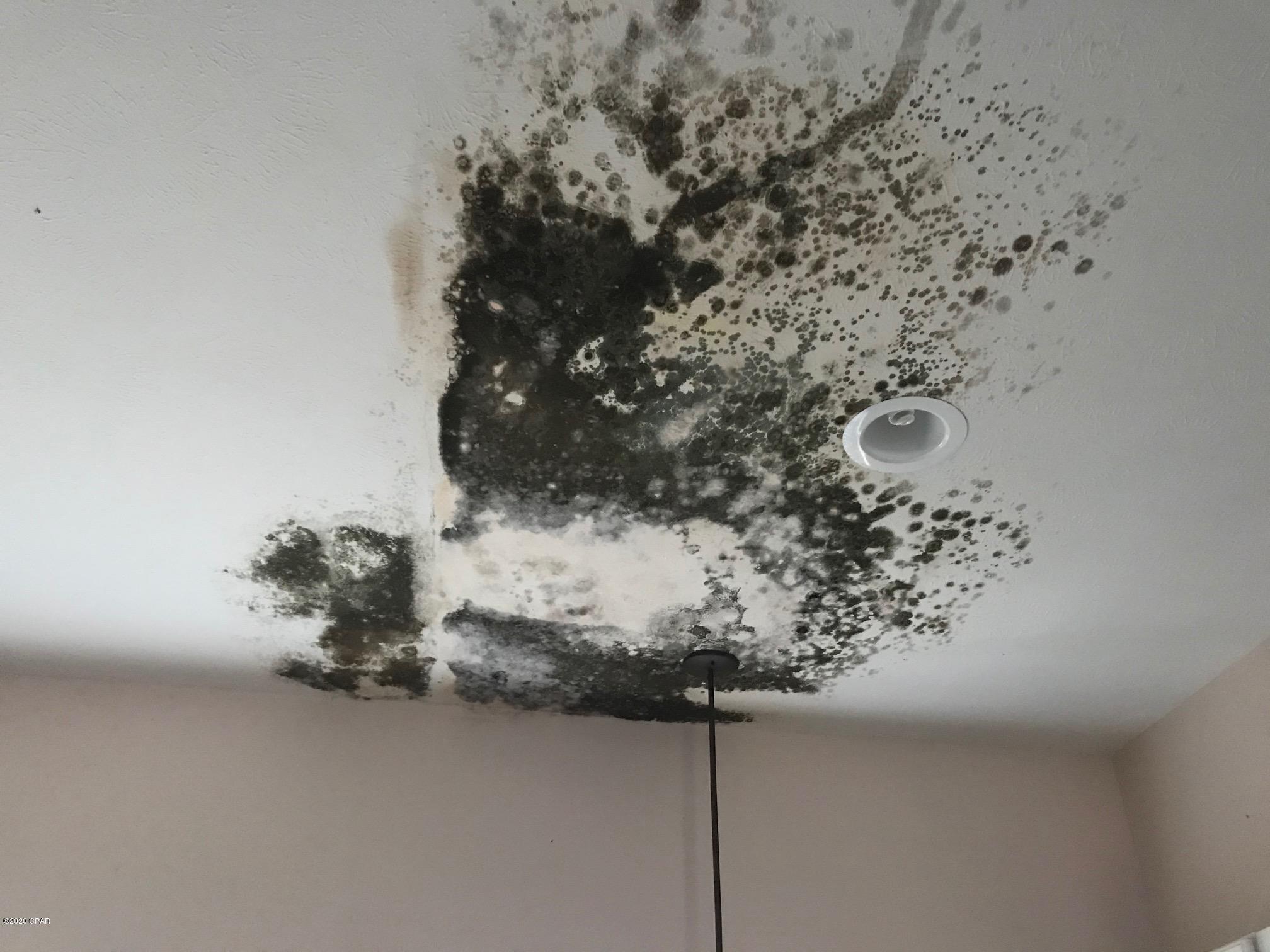 Arboles - Residential