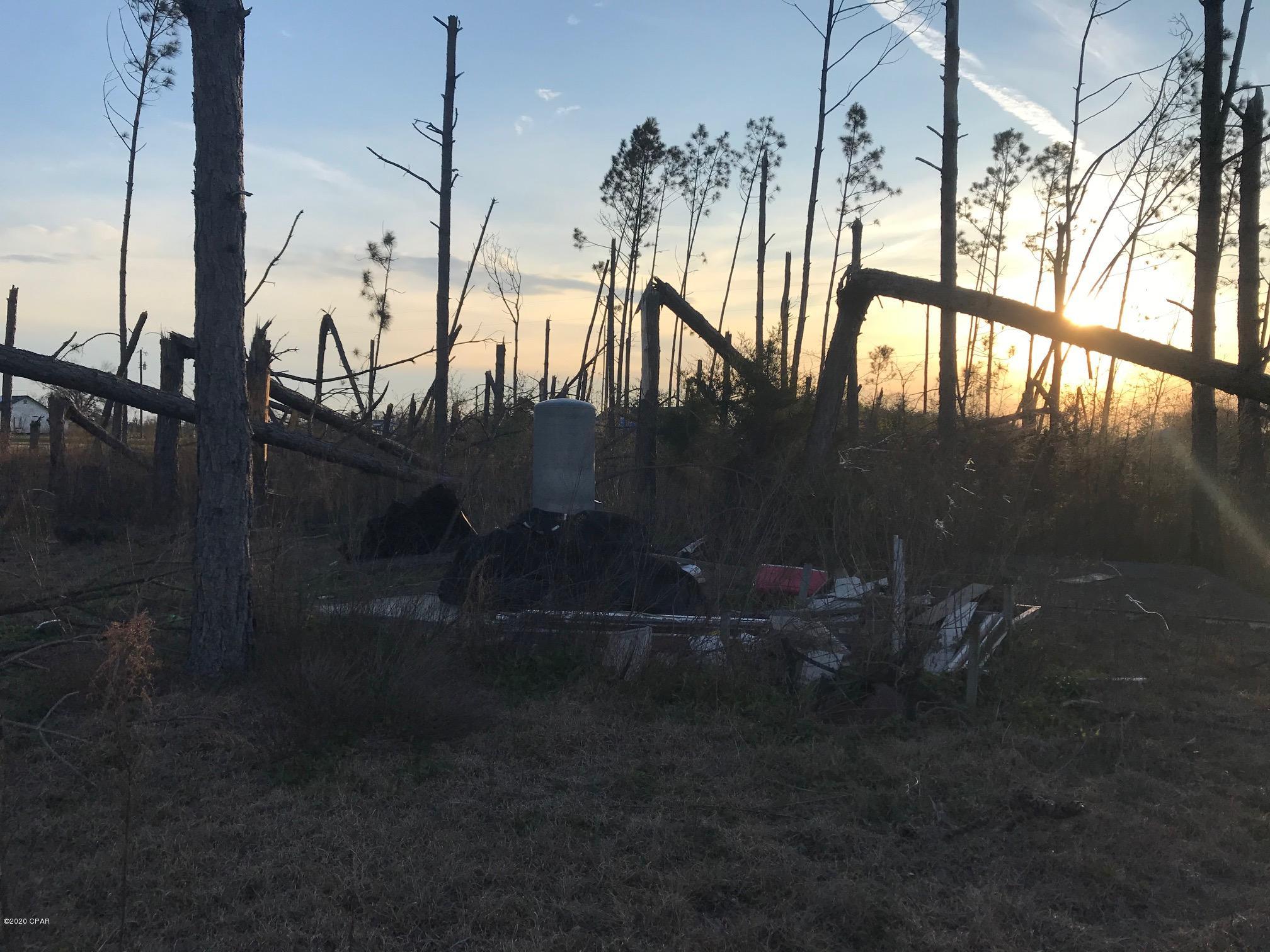 Arboles - Residential