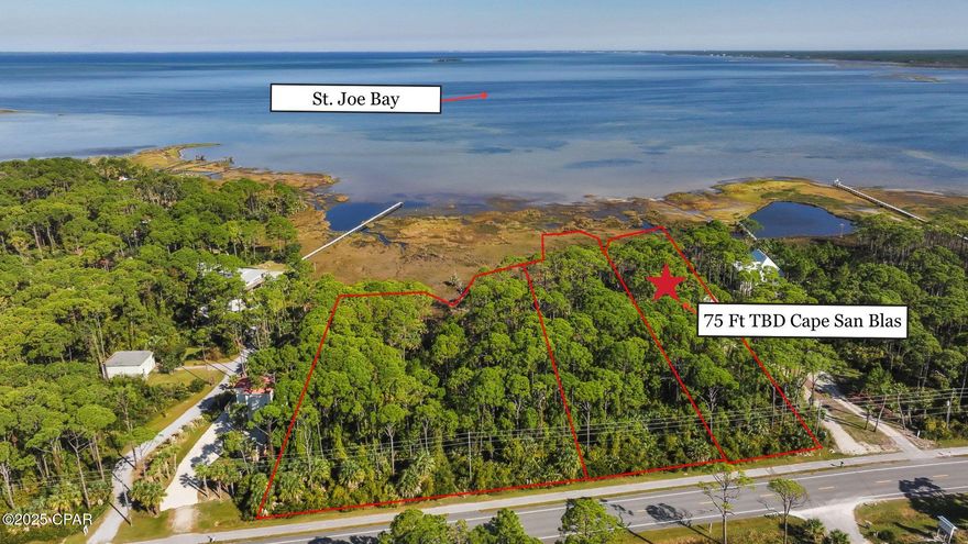 Experience the unspoiled beauty and unmatched potential of this remarkable home site on Cape San Blas. Currently subject to replat of 75' parcel with direct frontage on the pristine waters of St. Joe Bay, this rare offering is a true coastal treasure. Surrounded by towering pines, native vegetation, and an untouched shoreline, the property offers a peaceful, private setting where panoramic bay views and gentle breezes create the perfect backdrop for your coastal dream. This parcel delivers both natural beauty and exceptional versatility. A wetland delineation report is already available—streamlining your path to planning and permitting, and providing valuable insight for builders and investors alike. With direct access to the calm, clear waters of St. Joe Bay, outdoor enthusiasts will appreciate endless opportunities for kayaking, paddleboarding, fishing, and sunset watching. The property also fronts the 10-mile Loggerhead Trail, a popular bike and pedestrian path connecting you to beach access points, conservation areas, and the laid-back amenities of Cape San Blas. Just a short drive brings you to the charming coastal town of Port St. Joe, known for its full-service marina, waterfront dining, boutique shopping, and welcoming small-town atmosphere. For those seeking an even grander vision, this parcel can be purchased with two adjacent 100' (#780394) and 150' (#780398) bayfront lots and the adjoining Gulf-front property at 1048 Cape San Blas Road, creating a truly unparalleled opportunity to own from bay to beach along Florida's stunning Forgotten Coast. Whether you're planning a legacy development or your dream coastal retreat, this property offers limitless possibilities. Call now for your private tour and LIVE THE BEACH LIFE!