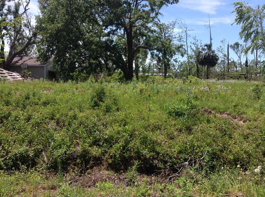 UNDER CONTRACT - ACCEPTING BACKUP OFFERS.

Nice level building lot with view of Fanning Bayou.  Close to the Airport, schools, shopping and The Beach!

Zoned R-2, Mobile homes permitted.