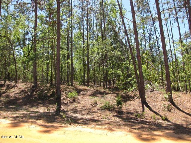 Compass Lake In The Hills - Land