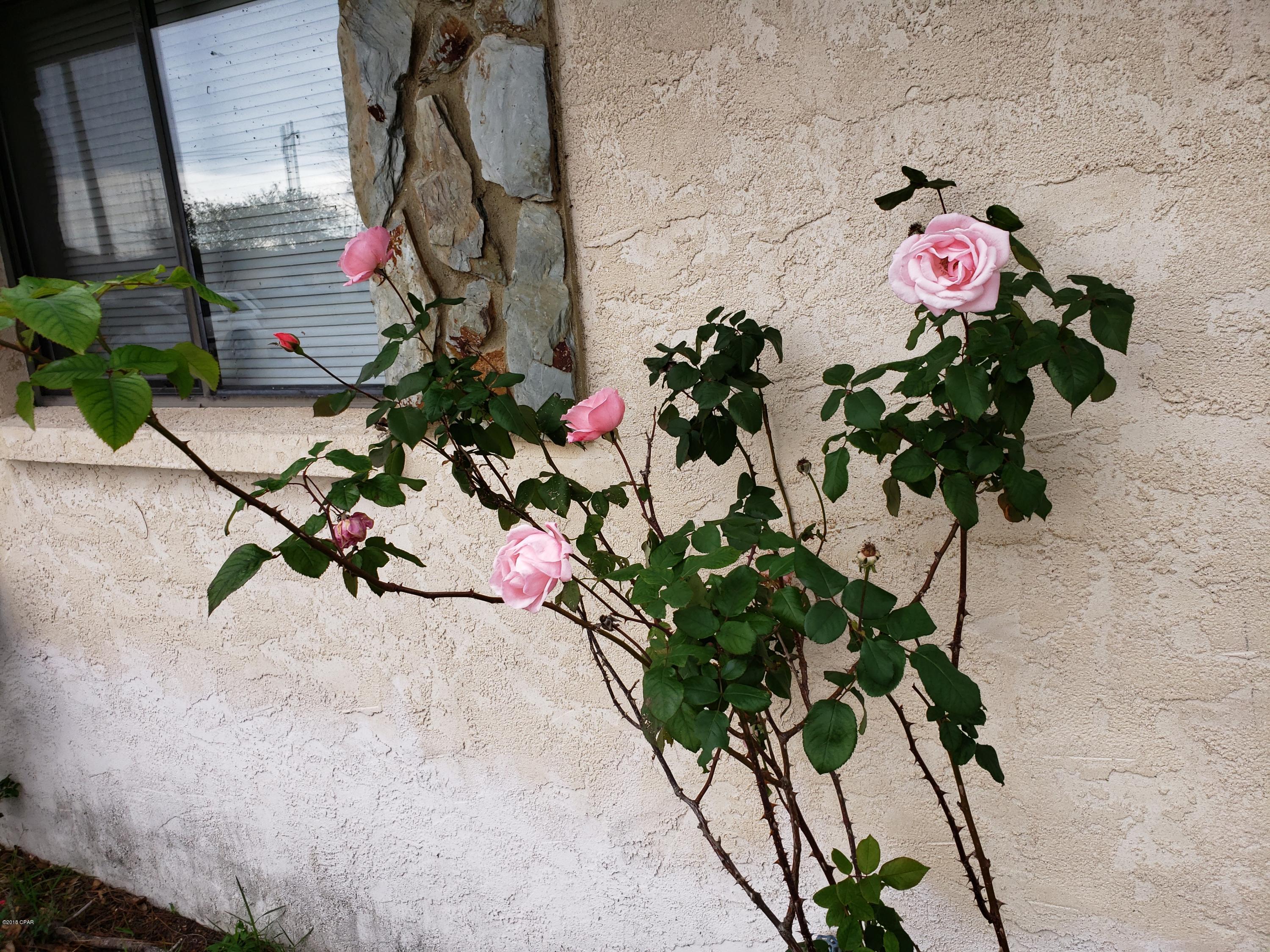 Belaire Estates U-4 - Residential