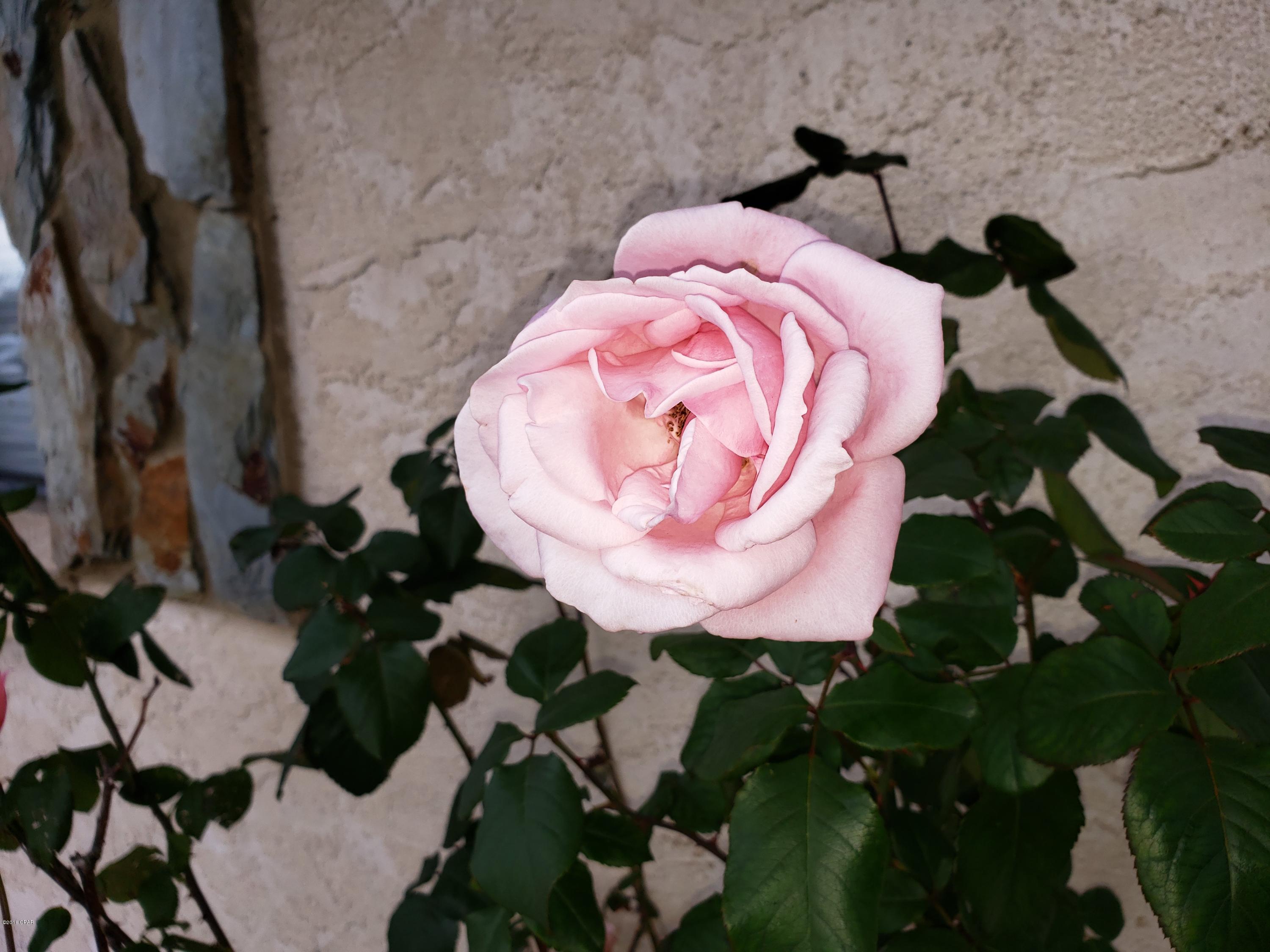 Belaire Estates U-4 - Residential