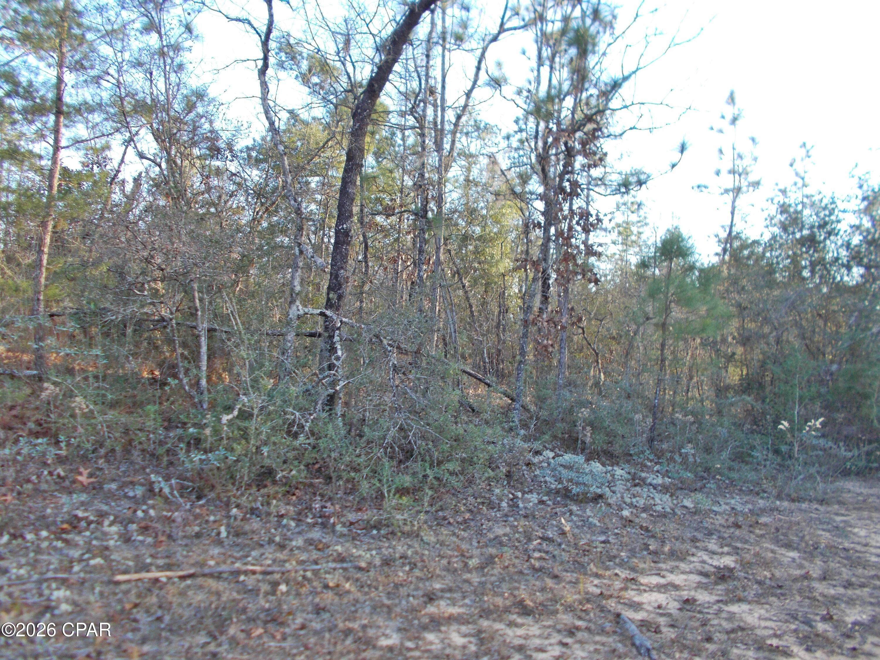 Compass Lake Hills Unit 3 - Land