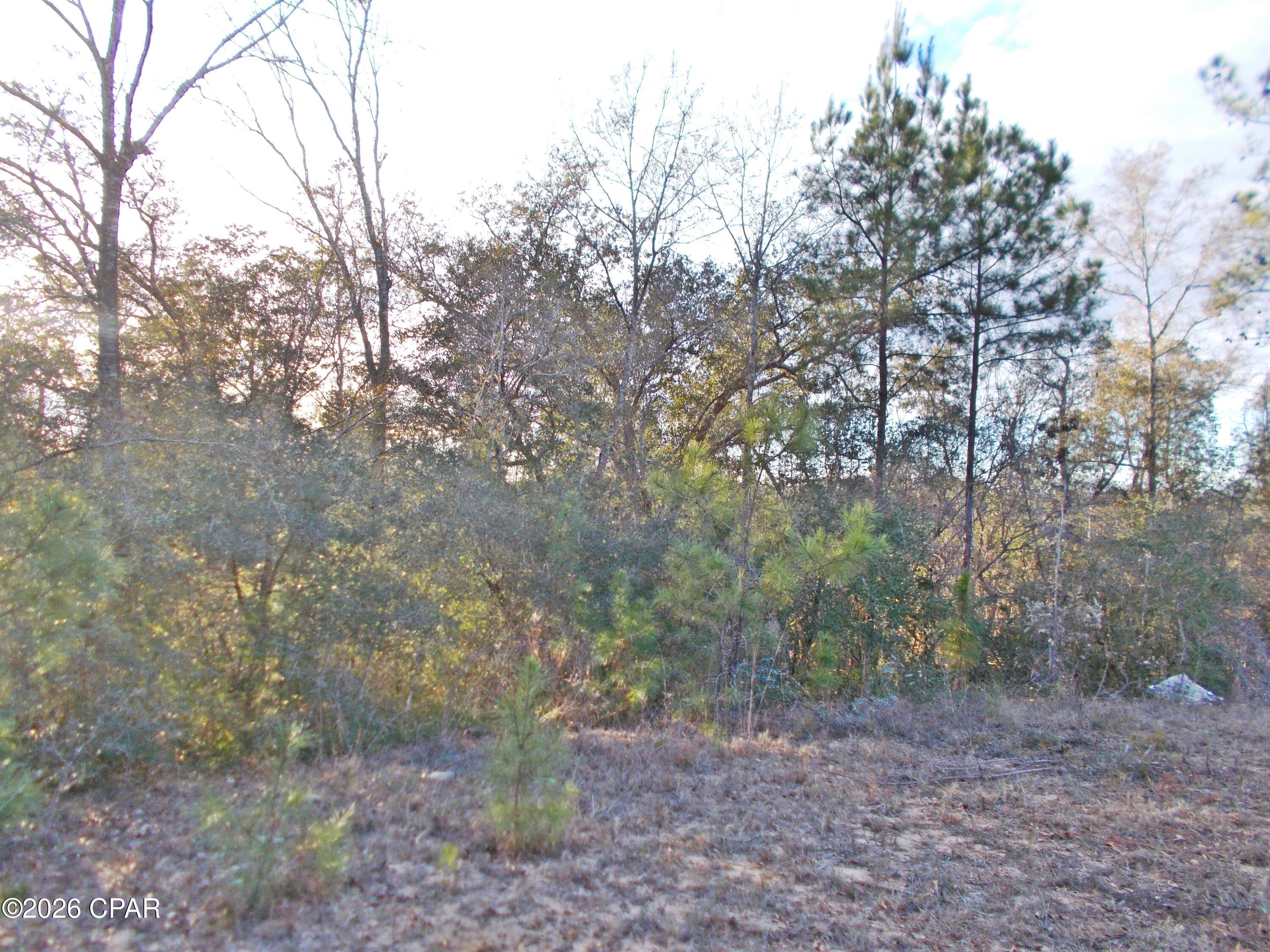 Compass Lake Hills Unit 3 - Land