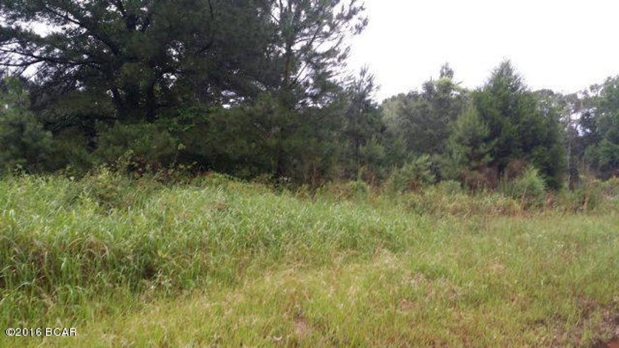 4.5 acres in Creek Run Subdivision. Property is mostly cleared with some trees. Property comes with deeded access to boat ramp on Holmes Creek. Deed restrictions allow mobile homes. Adjoining property also available.