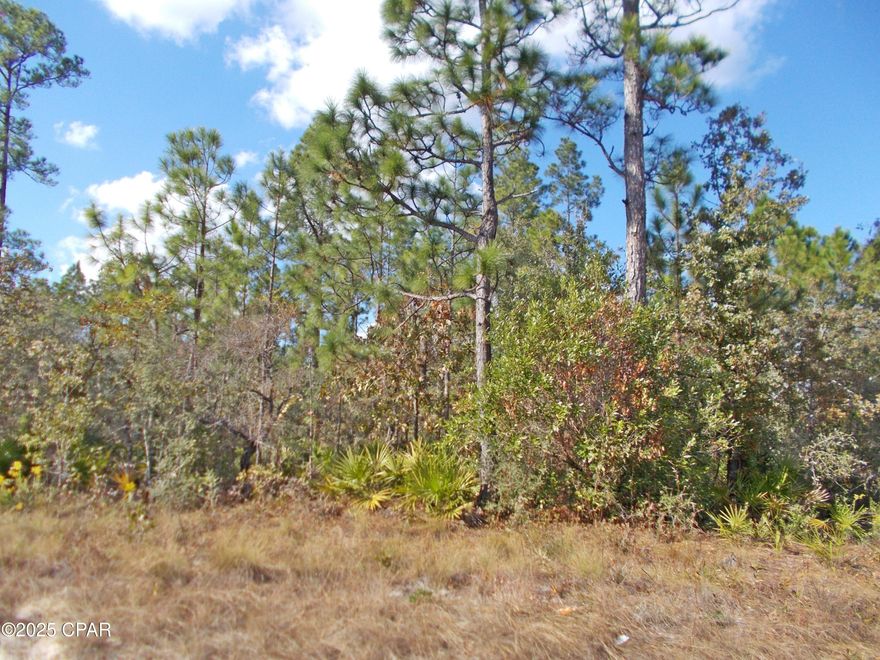 Very nice level lot with small trees and lots of paved road frontage, just minutes from Panama City and the beaches. No restrictions.