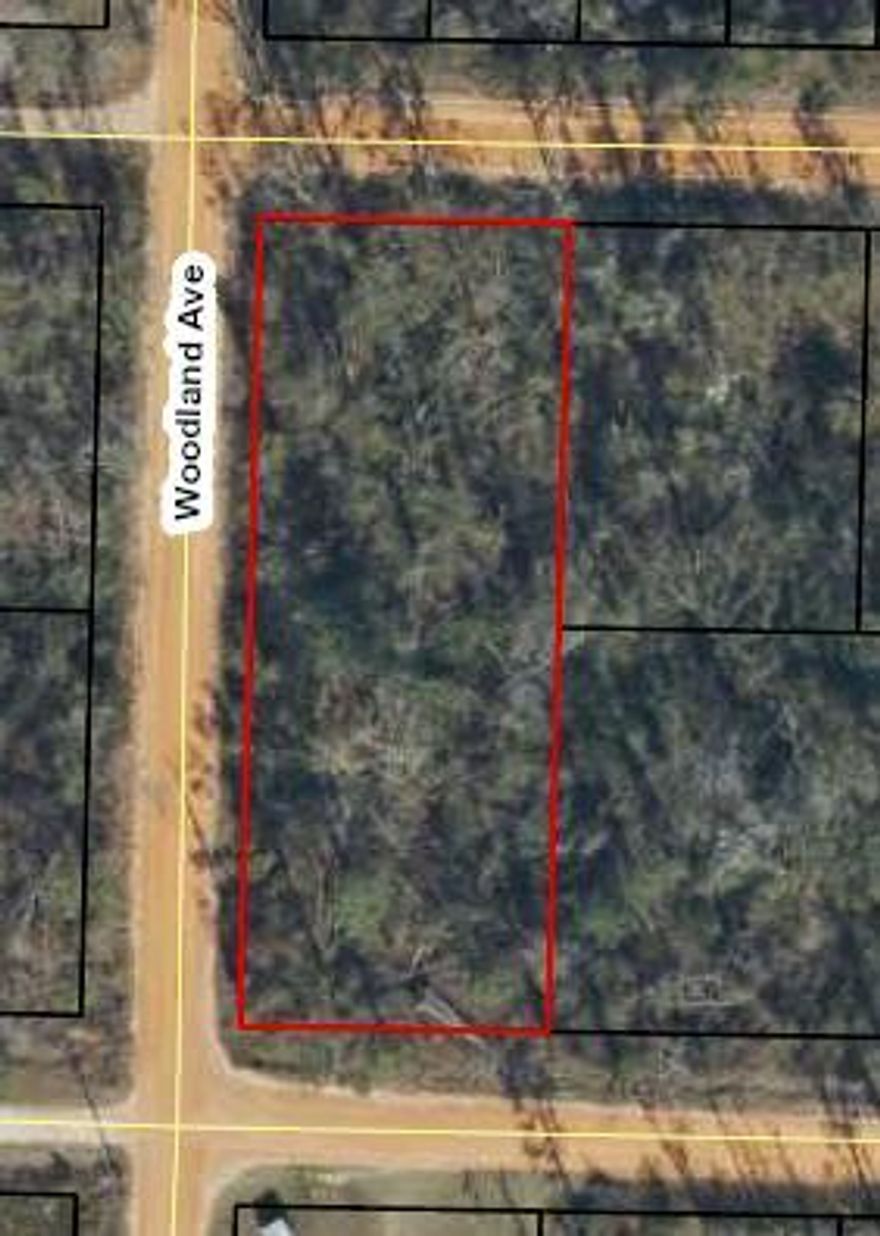This is a great corner lot that has road frontage on Woodland Avenue, Oleander Street and Nandina Street. This is a total of 4 lots. road is county maintained and is a great investment for manufactured home, modular homes and site builds.