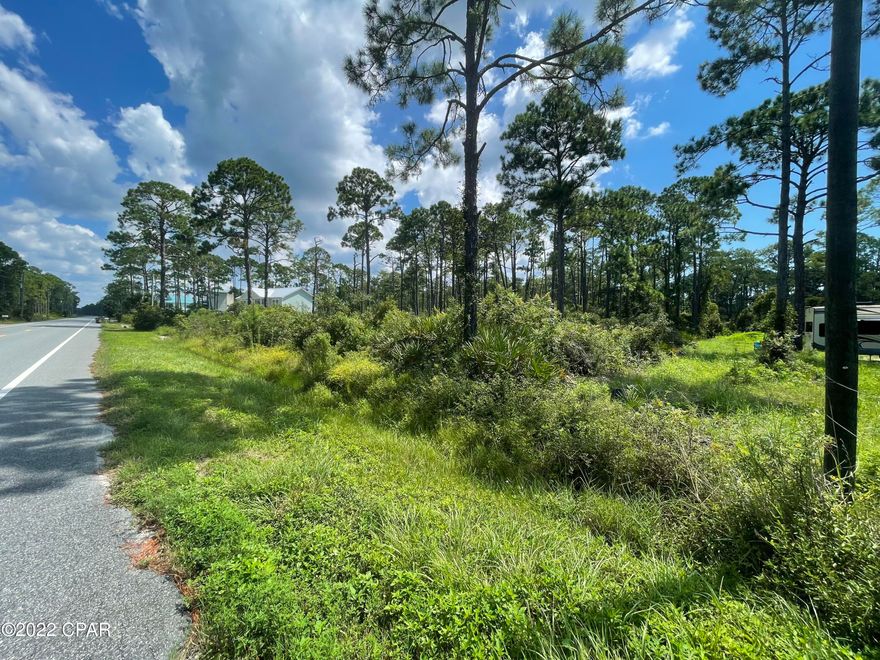 1/2 acre MOL wide lot that is centrally located near Cape San Blas, Indian Pass, Simmons Bayou, and Port St. Joe.  One of the few properties currently available at this affordable price point that is located outside the RV restricted zone.  AE FLOOD ZONE AND FEMA FLOOD INSURANCE ELIGIBLE!  Located a little over a mile from Salinas Park for easy access to the gulf, bay, and public park.  Lot backs up to thousands of acres which is the St Joseph Bay Buffer Preserve that is full of miles of nature trails.  Water, Sewer, Electric, Phone, Propane all available and adjacent to the property.  All dimensions obtained and estimated from the GULFPA website.  Please verify if important.