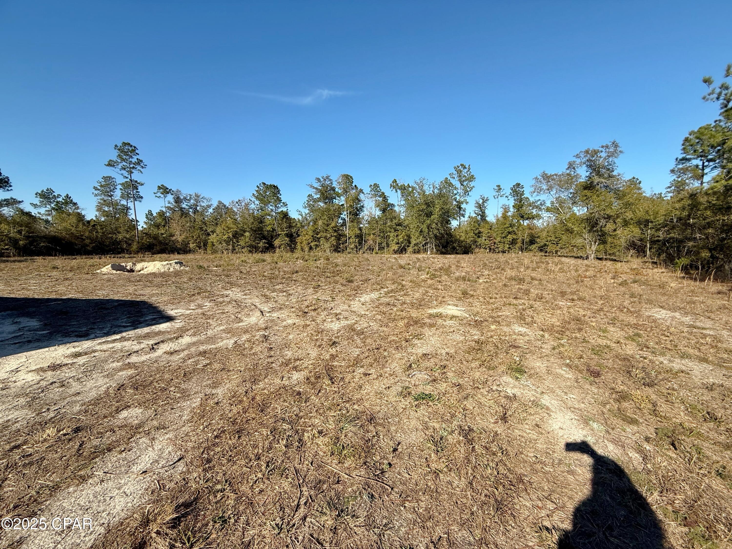 Blue Springs Plantation - Residential