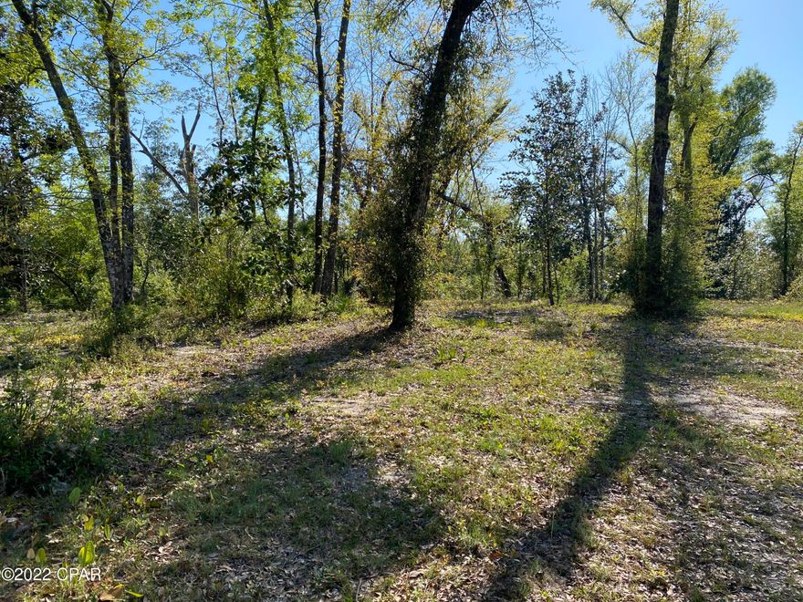 Attention builders ,investors, or anyone ready to make an investment in a beautiful piece of property.  With a little over 3 acres, this parcel has some real potential and no HOA! You might divide the parcel and build a couple of homes? You may want to build an duplex as an investment property or even bring your mobile home and make this your new address. With R2-Duplex-Manufactured housing zoning, you have some options.   There is access to Deerpoint Lake close by and the creek on the back of this property is creek on the backside that flows into the Lake.

The adjoining parcel is also for sale so buying both you could have a bigger piece of property with options.  

Please verify all measurements, if important