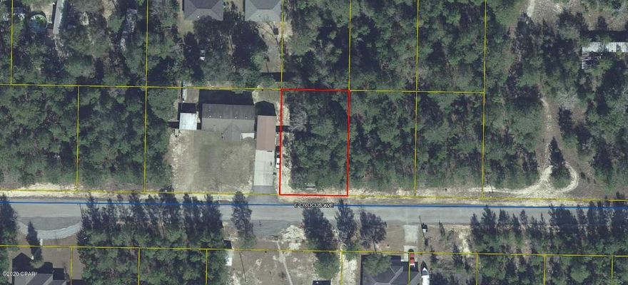 Lightly wooded lot on a paved road in growing Mossy Head community of DeFuniak Springs. Perfect spot to build your new home or you could put a mobile home here. No utilities currently on the property but power is on the street. Public water is available with paid tap fee. Septic tank will be required. Property is located minutes from Blackstone Golf Course and Interstate-10. DeFuniak Springs and Crestview are approximately 15 minutes away and it is approximately 30 minutes to Niceville and Eglin Air Force Base.  Two adjoining lots (.229/acre each) also for sale separately (MLS #702278 and #702279).