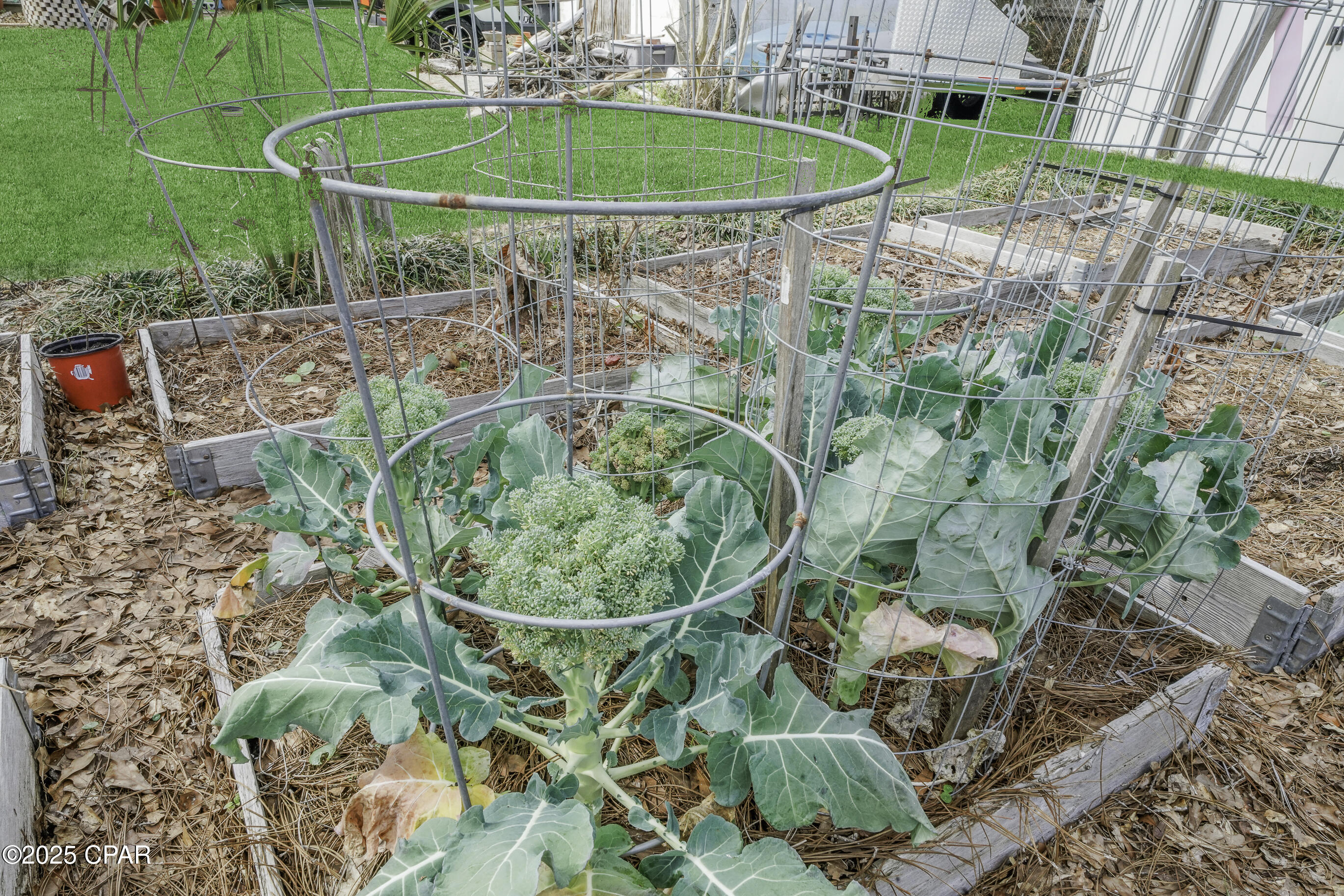 City Of Port St Joe - Residential