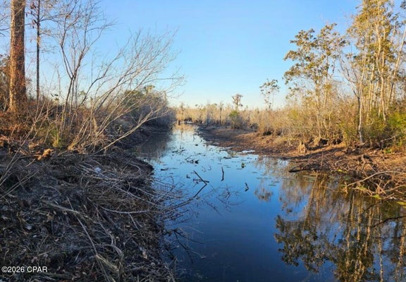 MORGANVILLE RD, YOUNGSTOWN, FL 32466 - Image 63b402f4071e146f5aa8a4da43e38bc7/2369161097