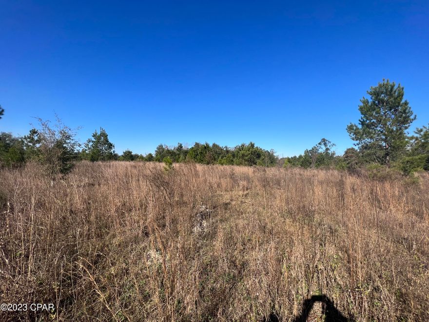 20 acres about 2.5 miles from the city of Greenwood.  Excellent location for a Mini Ranch, home-sites, cattle or horses. Can easily be used as crop land or pasture. County website shows not in a flood zone.  This one is a must see if your thinking about getting out to the country.  Greenwood has a new grocery store, bank, Dollar General etc.  Marianna only 10 min away and Dothan about 25 min North.