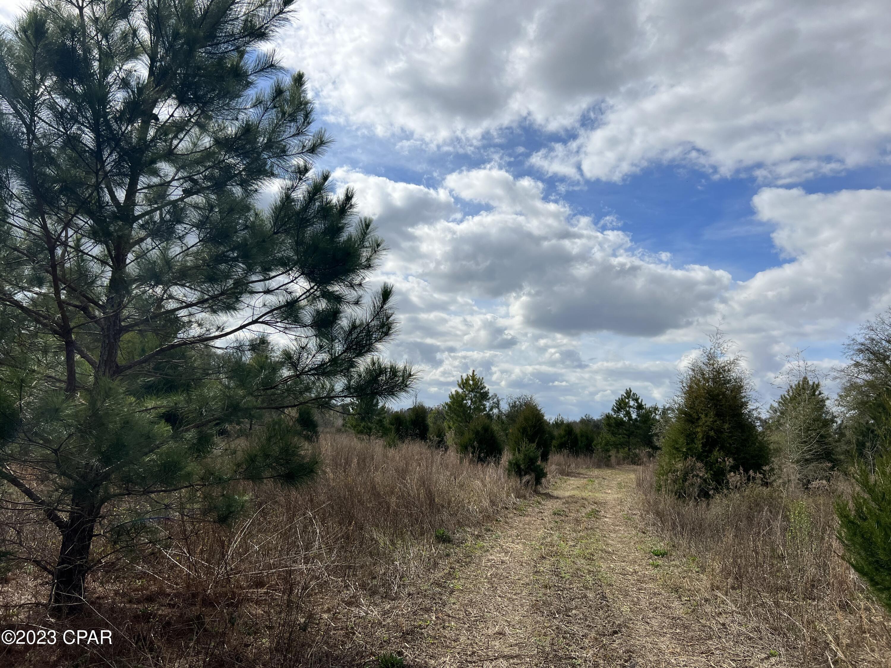 [No Recorded Subdiv] - Land