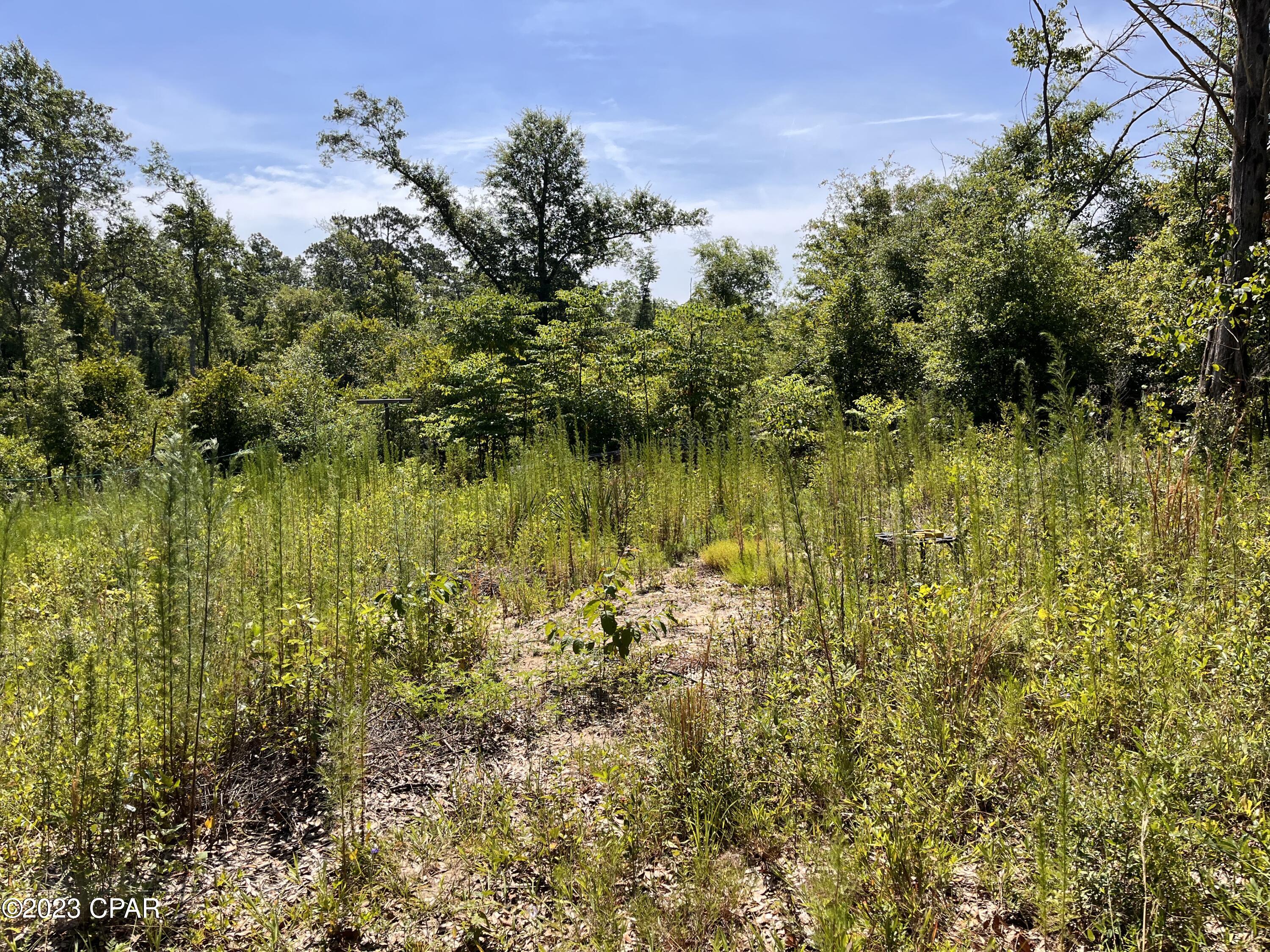 Compass Lake Hills Unit 6 - Land