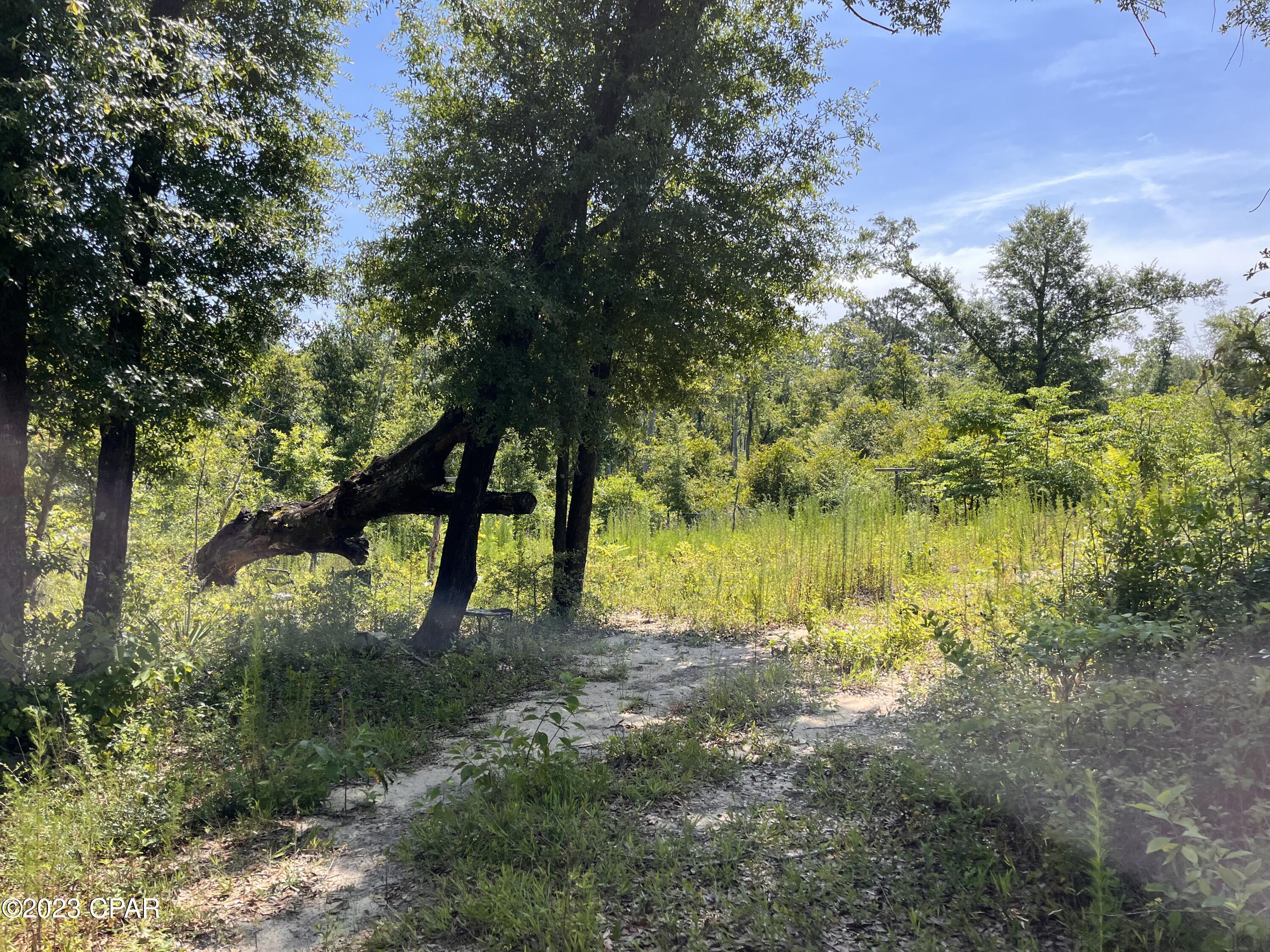 Compass Lake Hills Unit 6 - Land