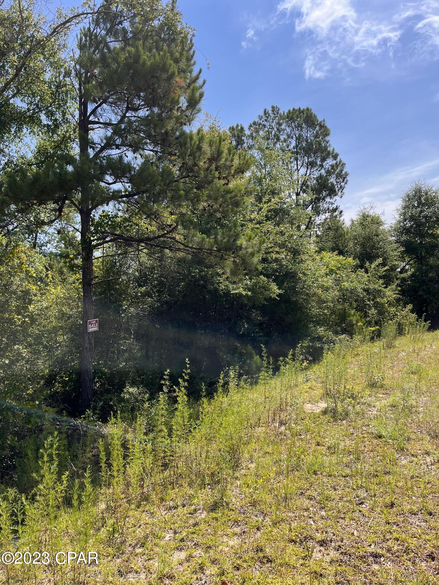 Compass Lake Hills Unit 6 - Land