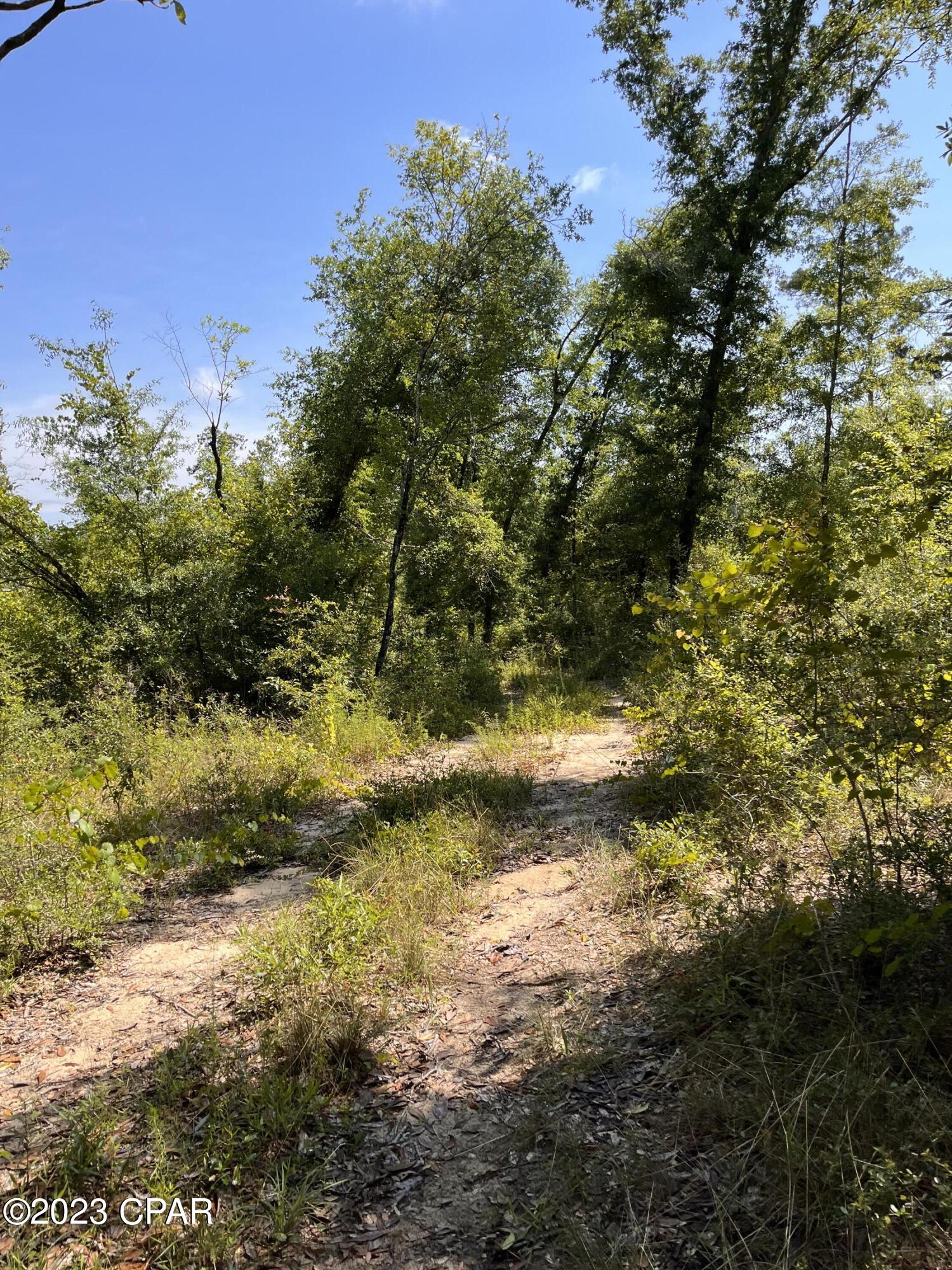 Compass Lake Hills Unit 6 - Land