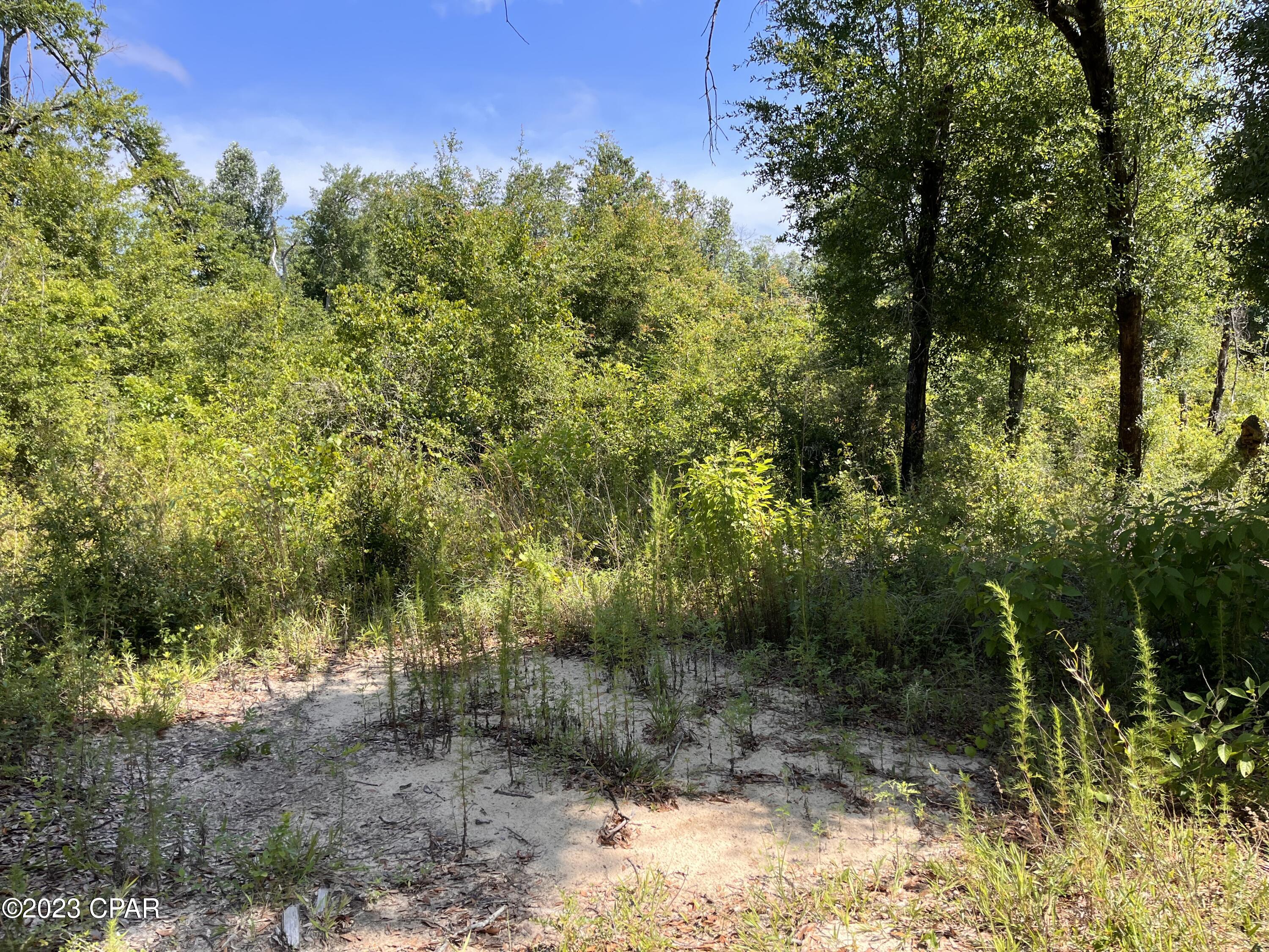 Compass Lake Hills Unit 6 - Land