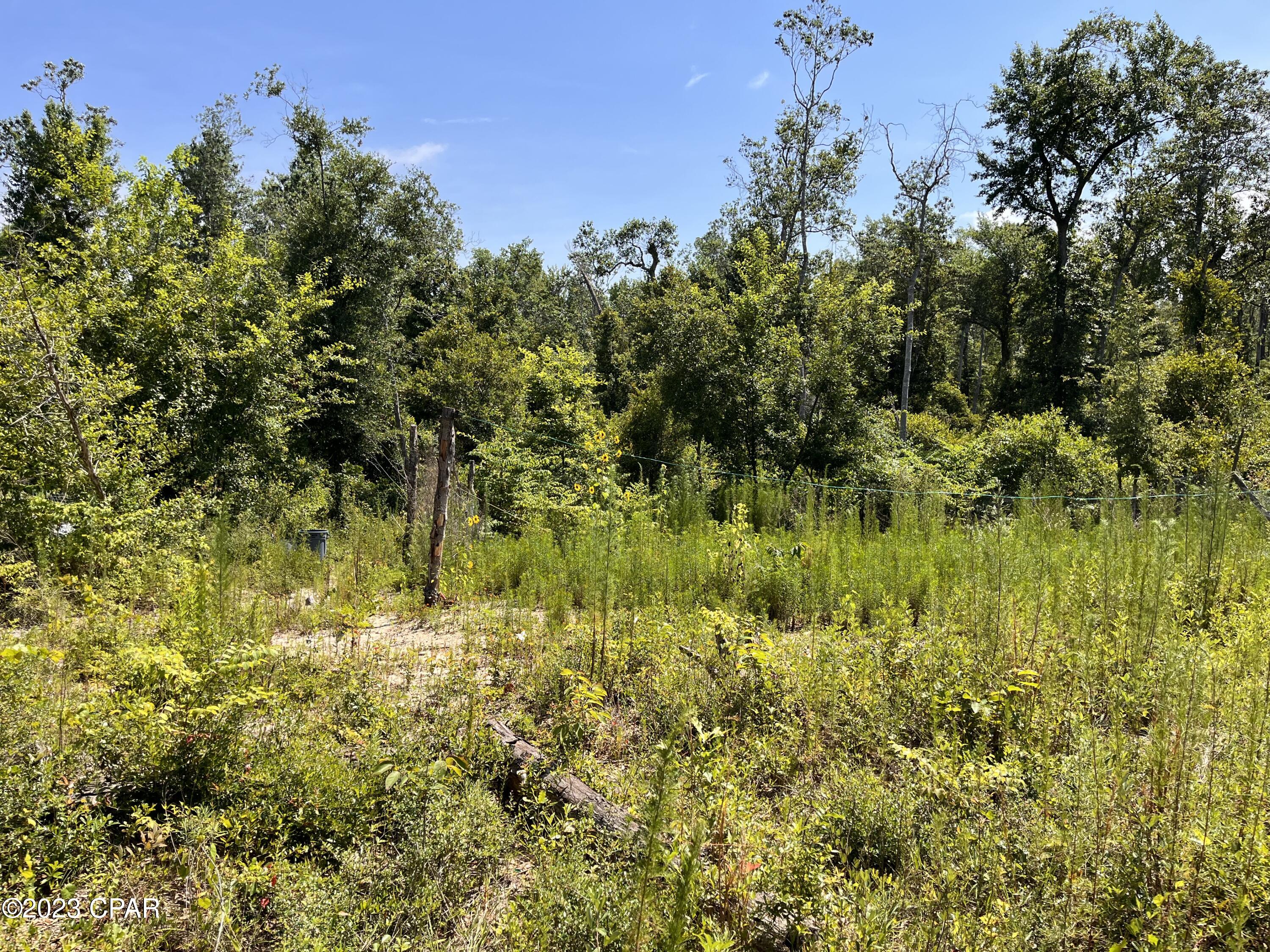 Compass Lake Hills Unit 6 - Land