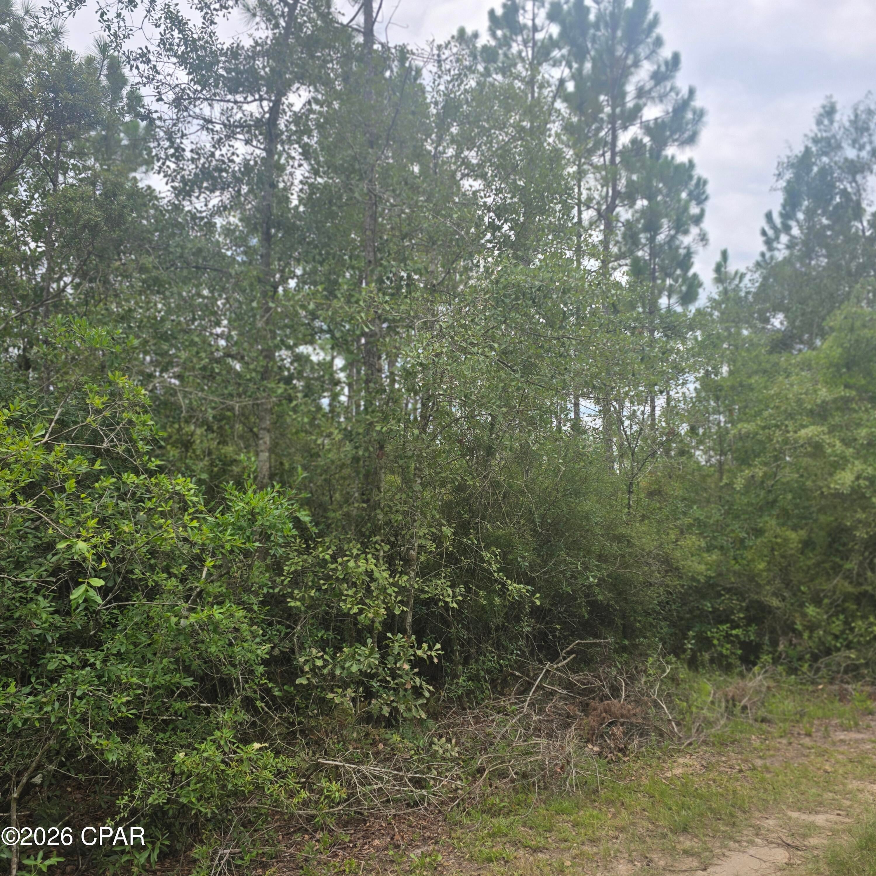10320 River Alley Road