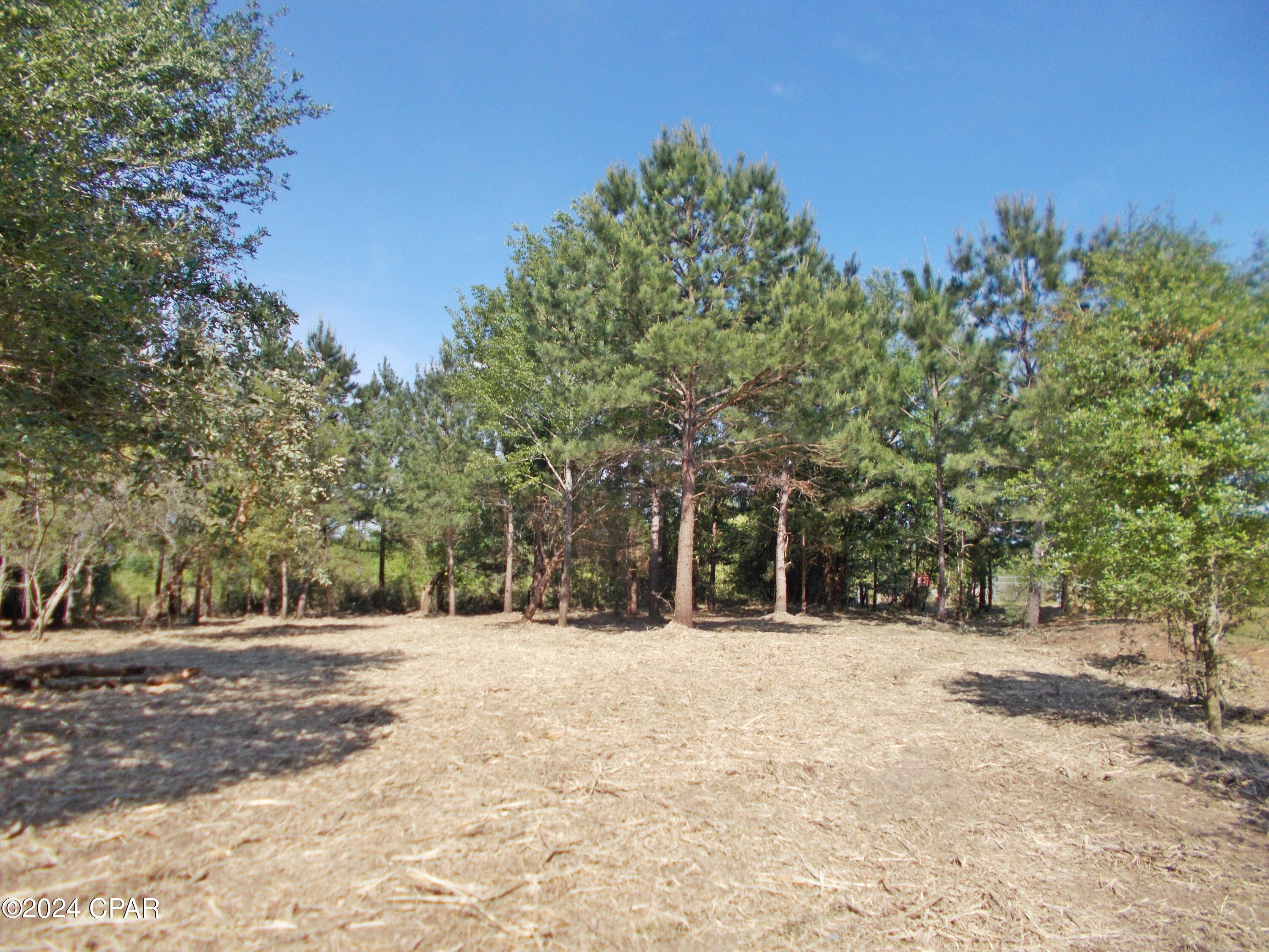 The Highlands Of Compass Lake - Land