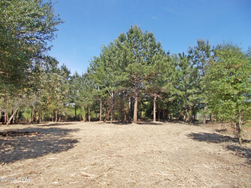 Very nice level corner lot in Compass Lake Highlands, No Deed Restrictions. Build or bring your mobile home. The owner has cleared most of the lot, so it is ready for your home, very nice, scattered oaks on this parcel, drive by it today.