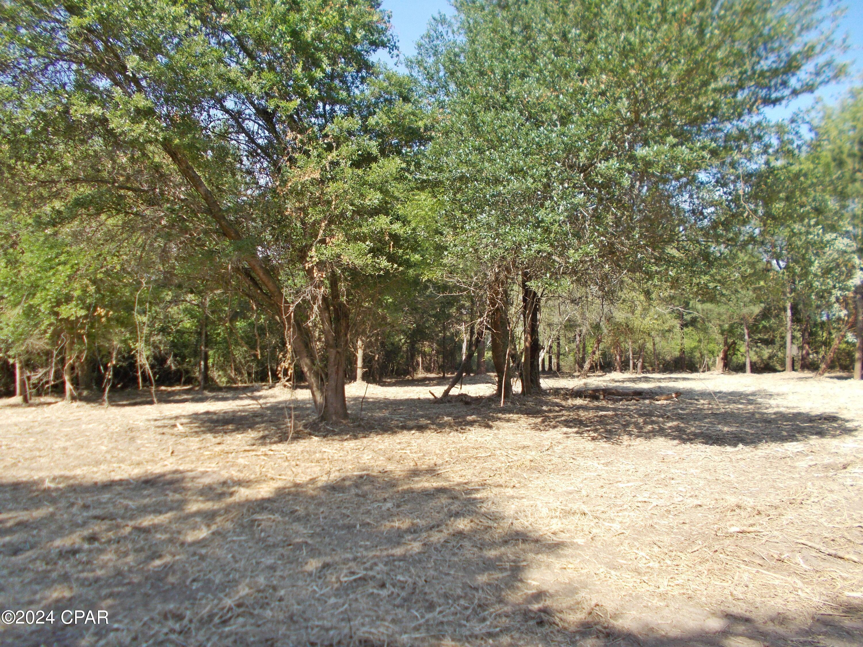 The Highlands Of Compass Lake - Land