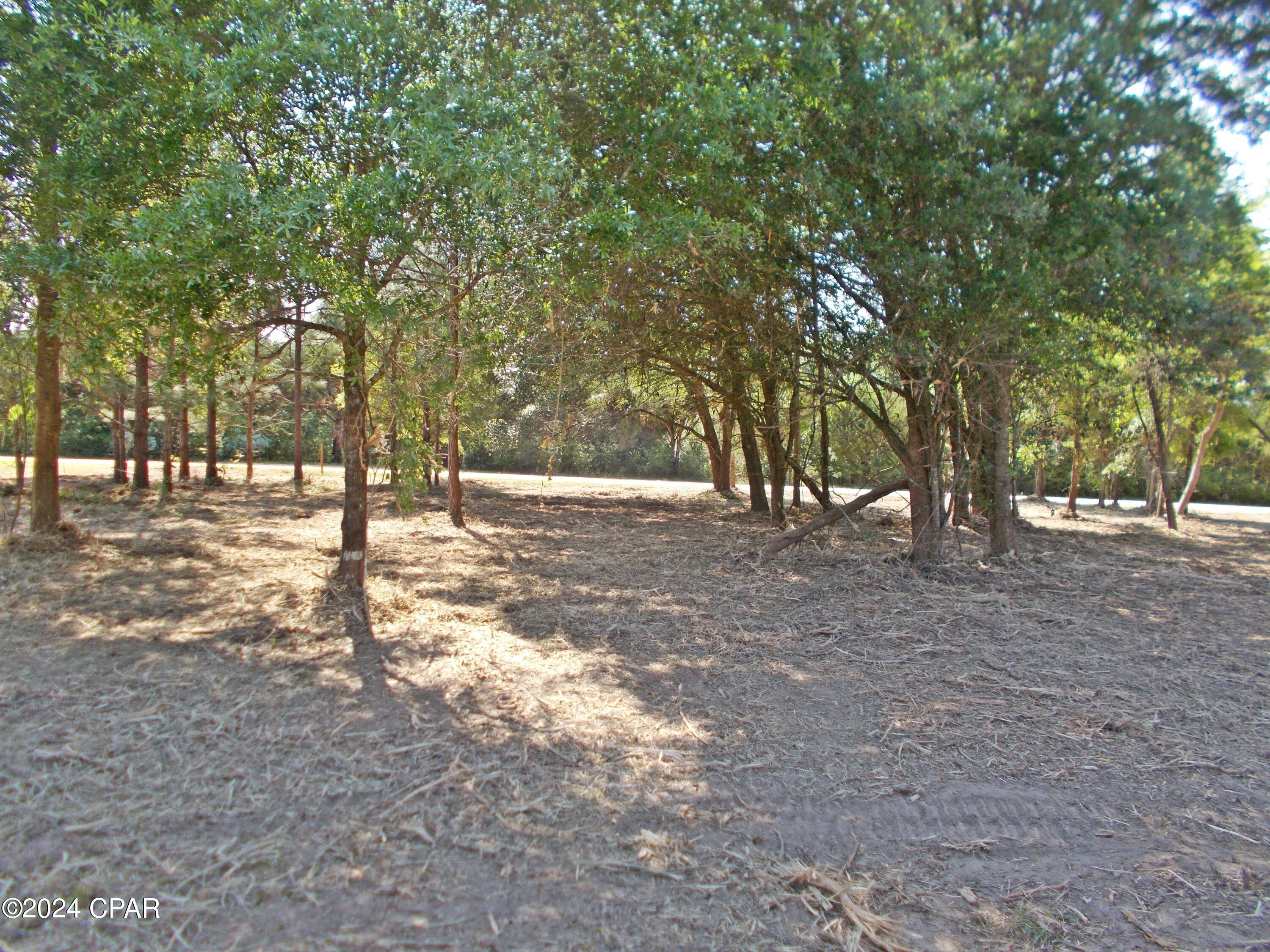 The Highlands Of Compass Lake - Land