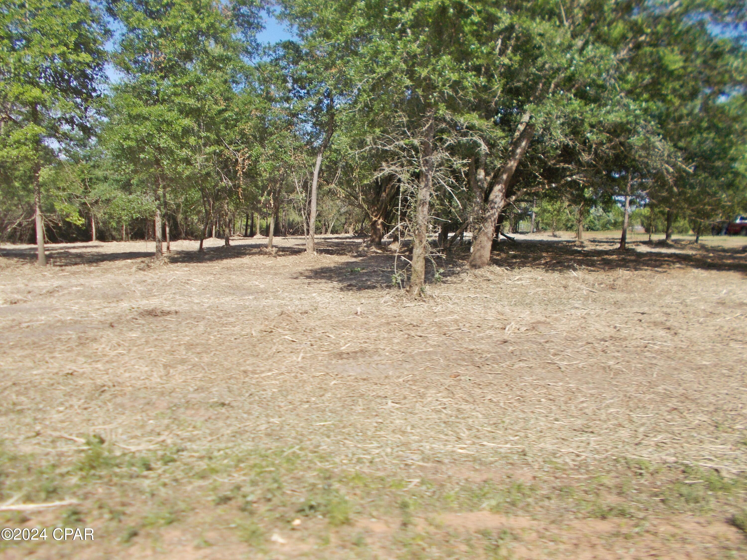 The Highlands Of Compass Lake - Land