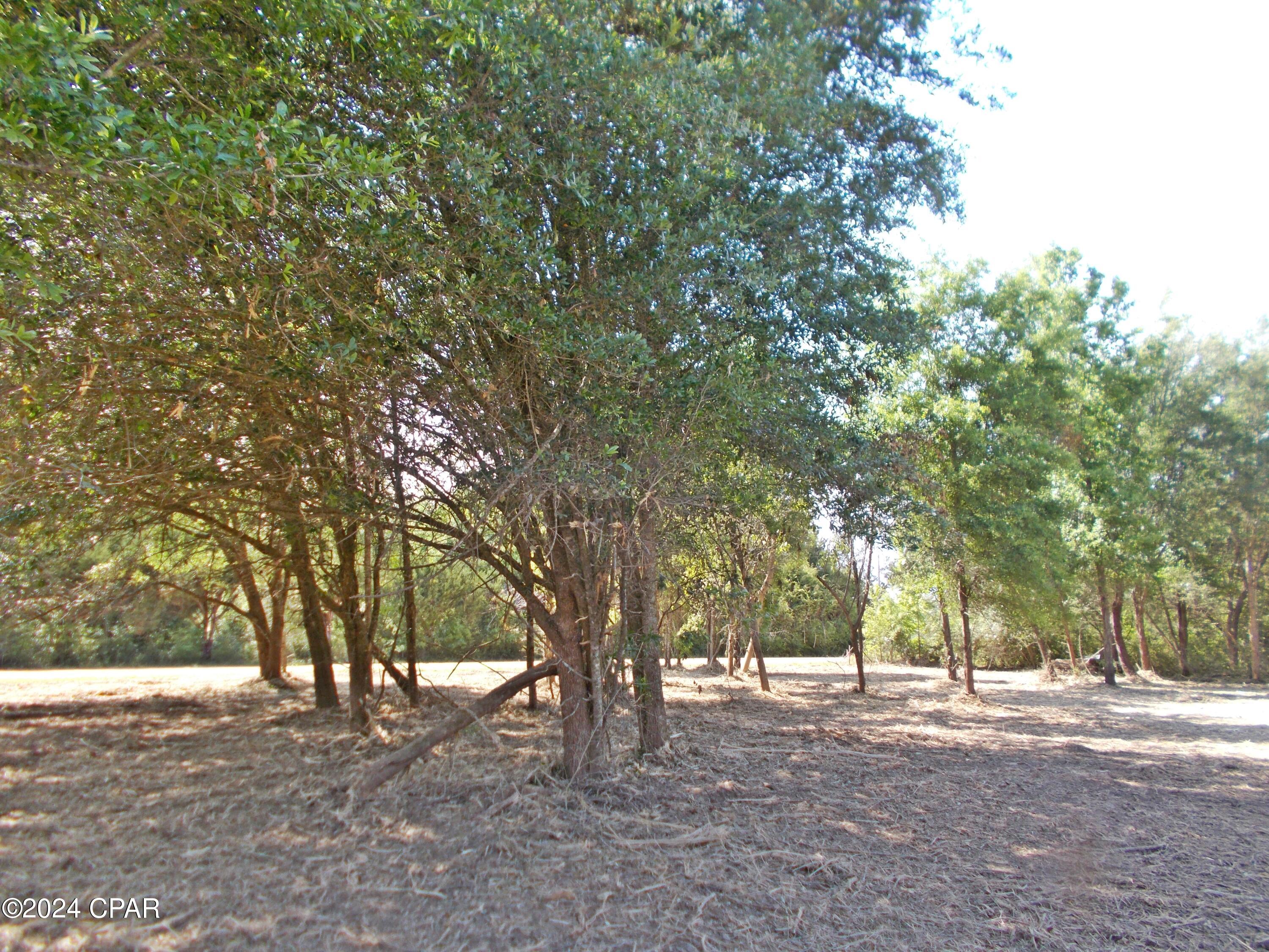 The Highlands Of Compass Lake - Land