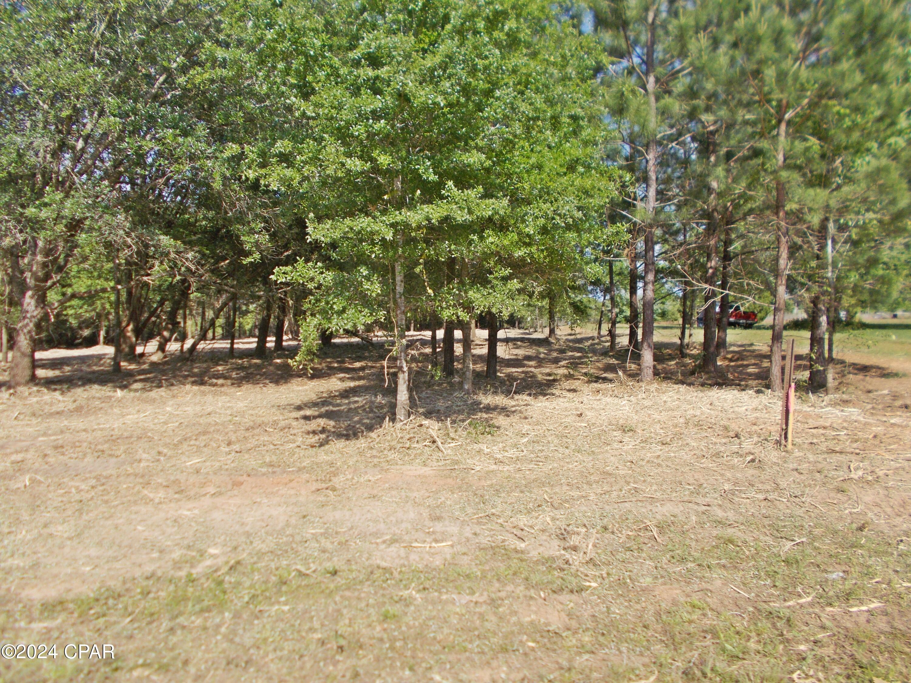 The Highlands Of Compass Lake - Land