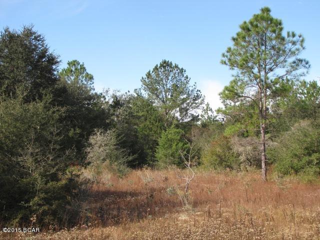Compass Lake In The Hills - Land