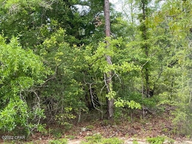 Compass Lake Hills Unit 5 - Land